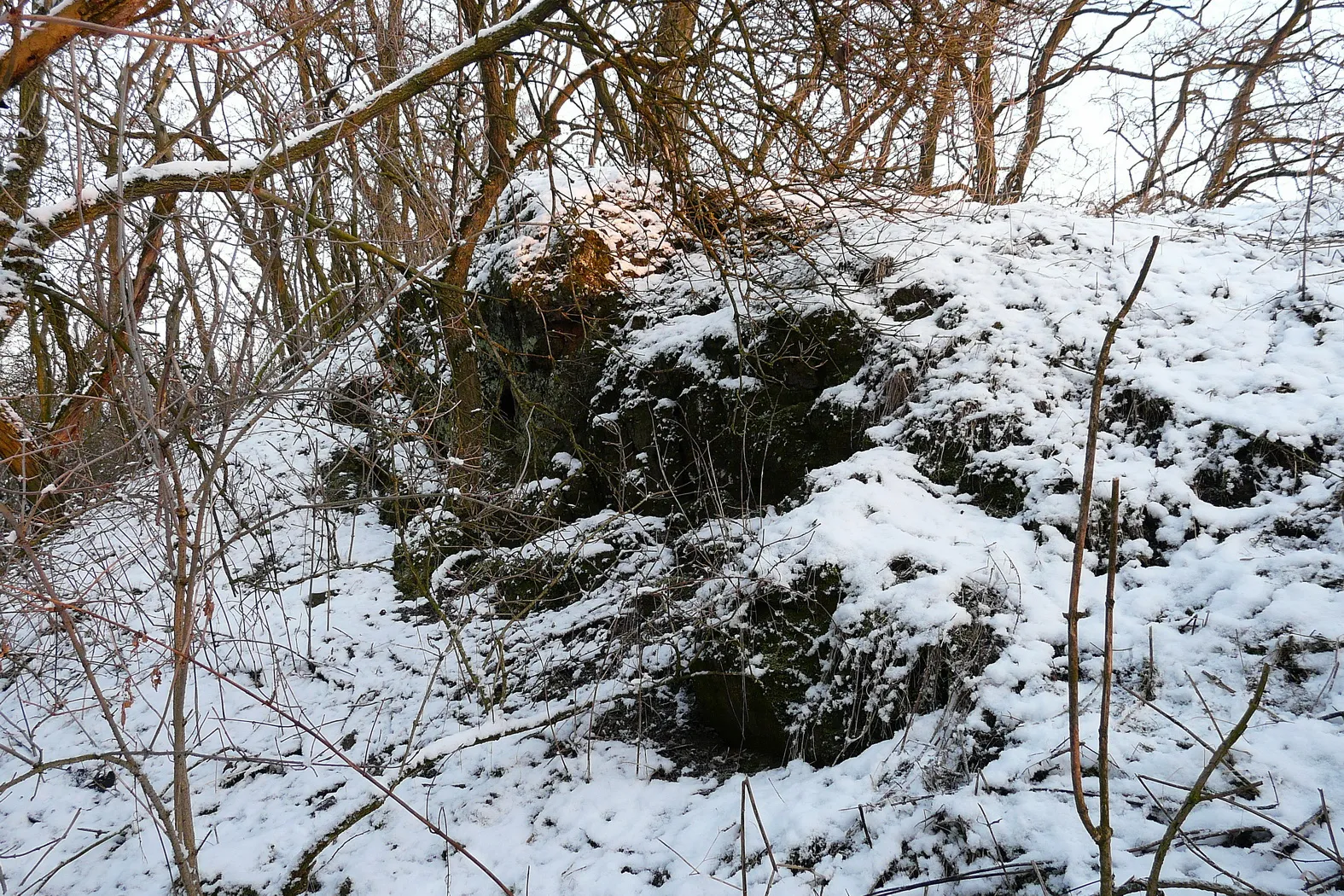 Photo showing: Skalky kamenolomu na Kalvárce