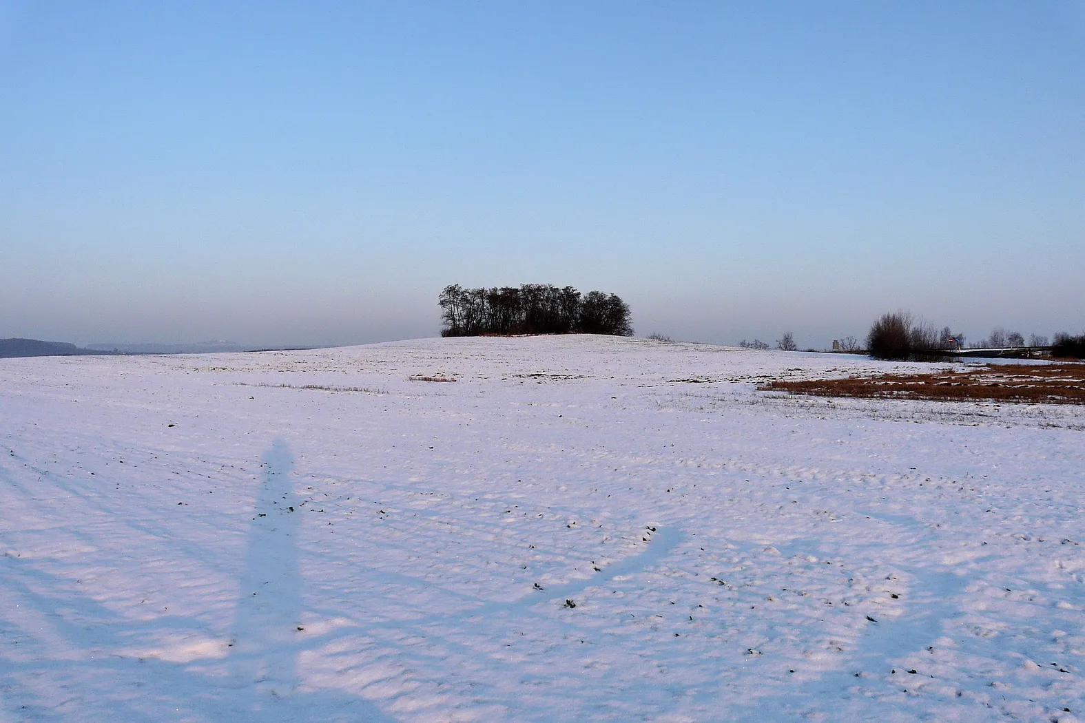 Photo showing: Vrch Kalvárka od jihozápadu v zimě