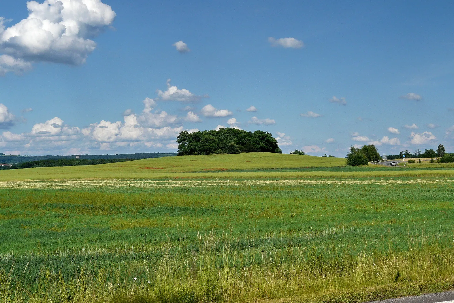 Photo showing: Vrch Kalvárka od jihozápadu