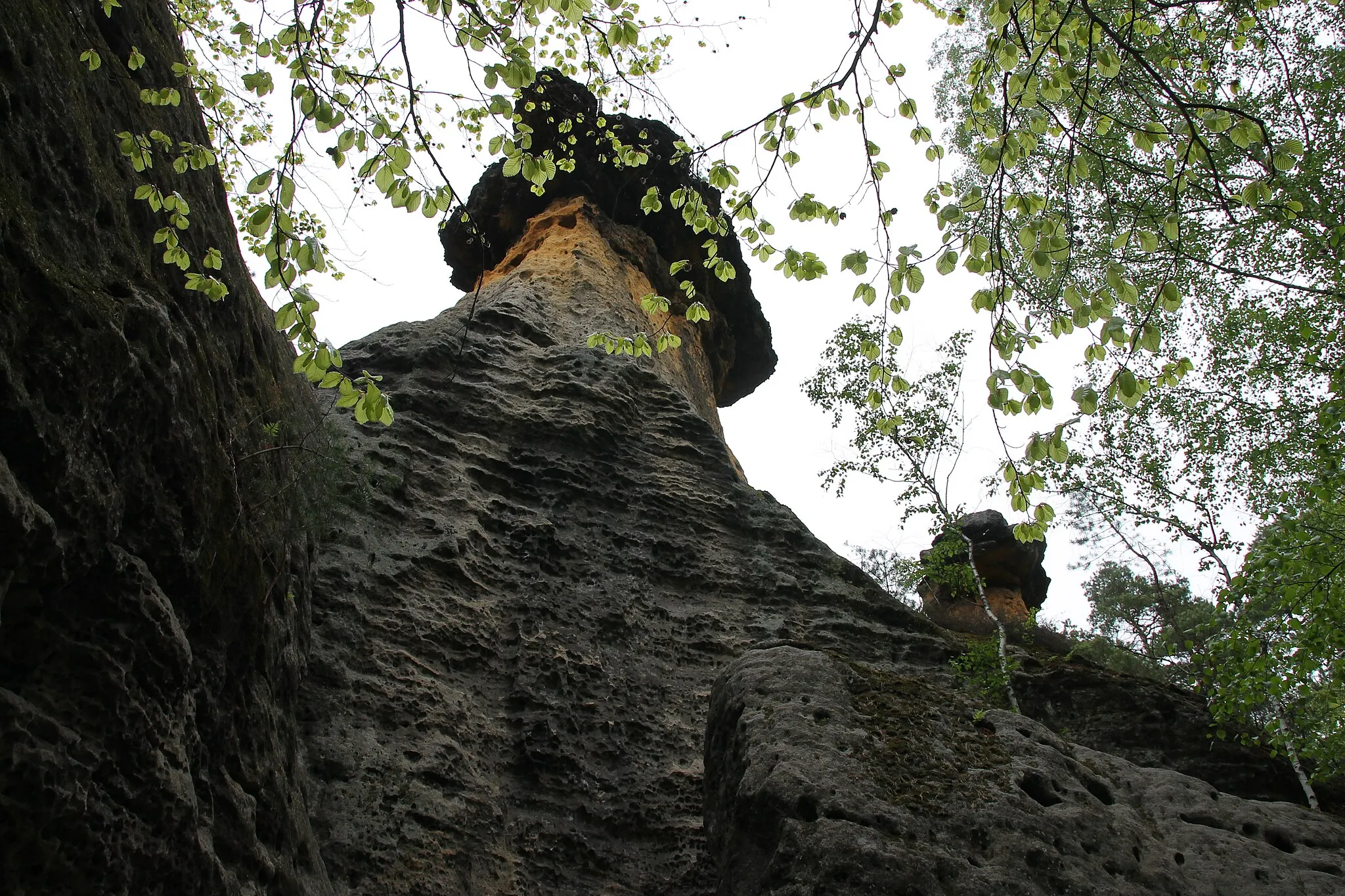 Photo showing: Mšeno Pokličky (Mšeno pot-lids)