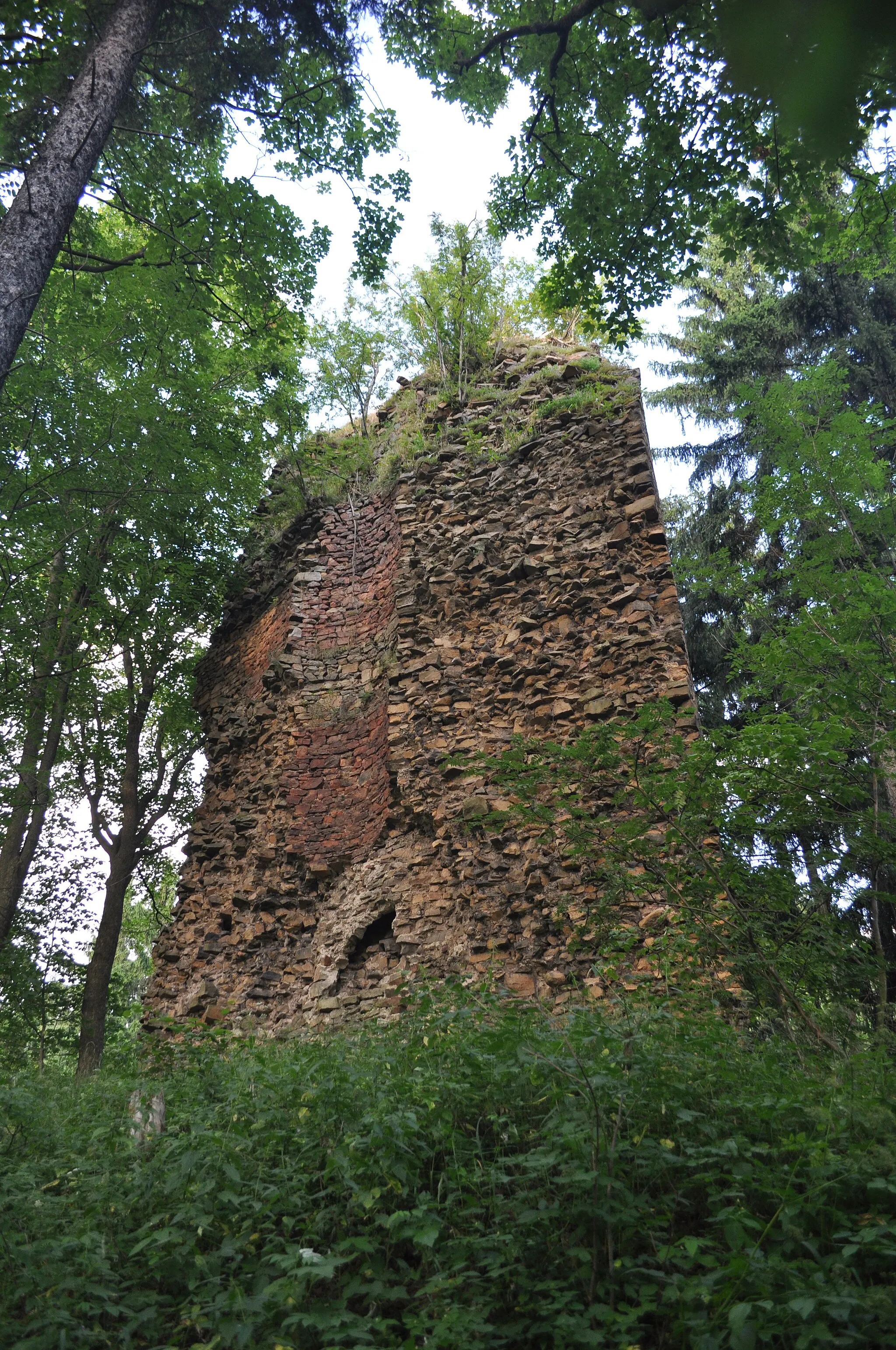 Photo showing: Castle ruins in Czarny Bór