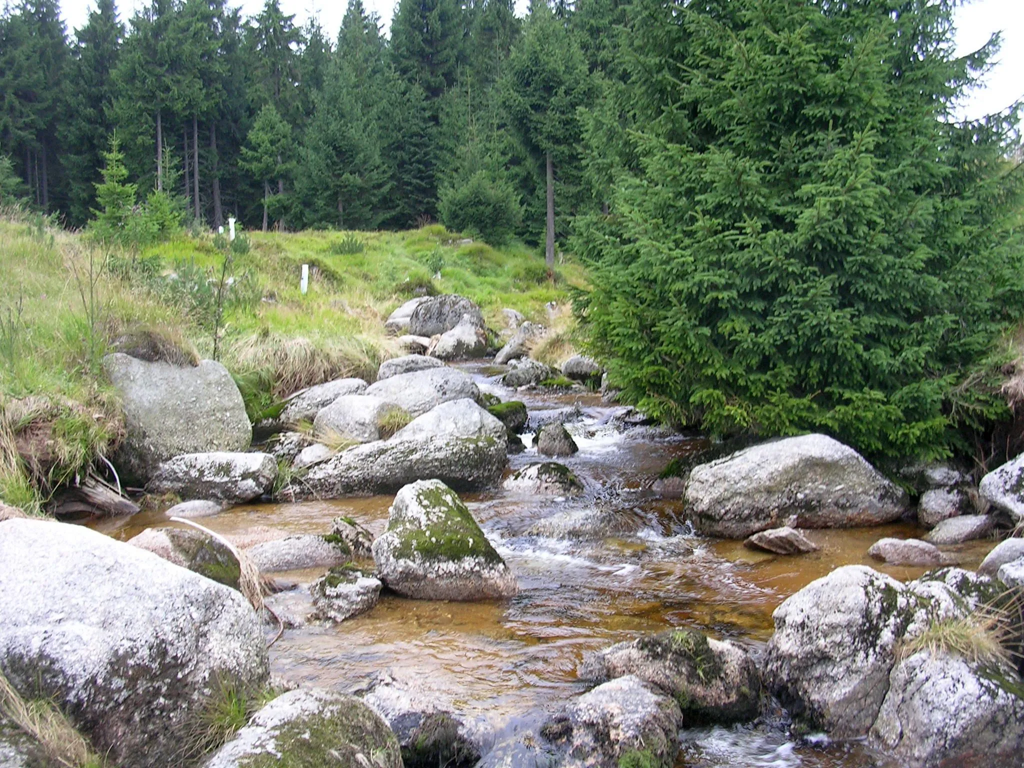 Photo showing: Bílá Desná River, Jizera Mountains. A borderline of municipalites Hejnice and Albrechtice v Jizerských horách.