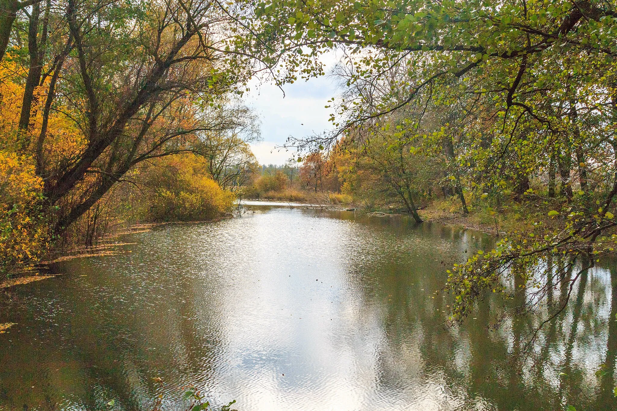 Photo showing: Lohenické jezero

This file was created as a part of the photographic program of Wikimedia Czech Republic. Project: Vodstvo The program supports Wikimedia Commons photographers in the Czech Republic.