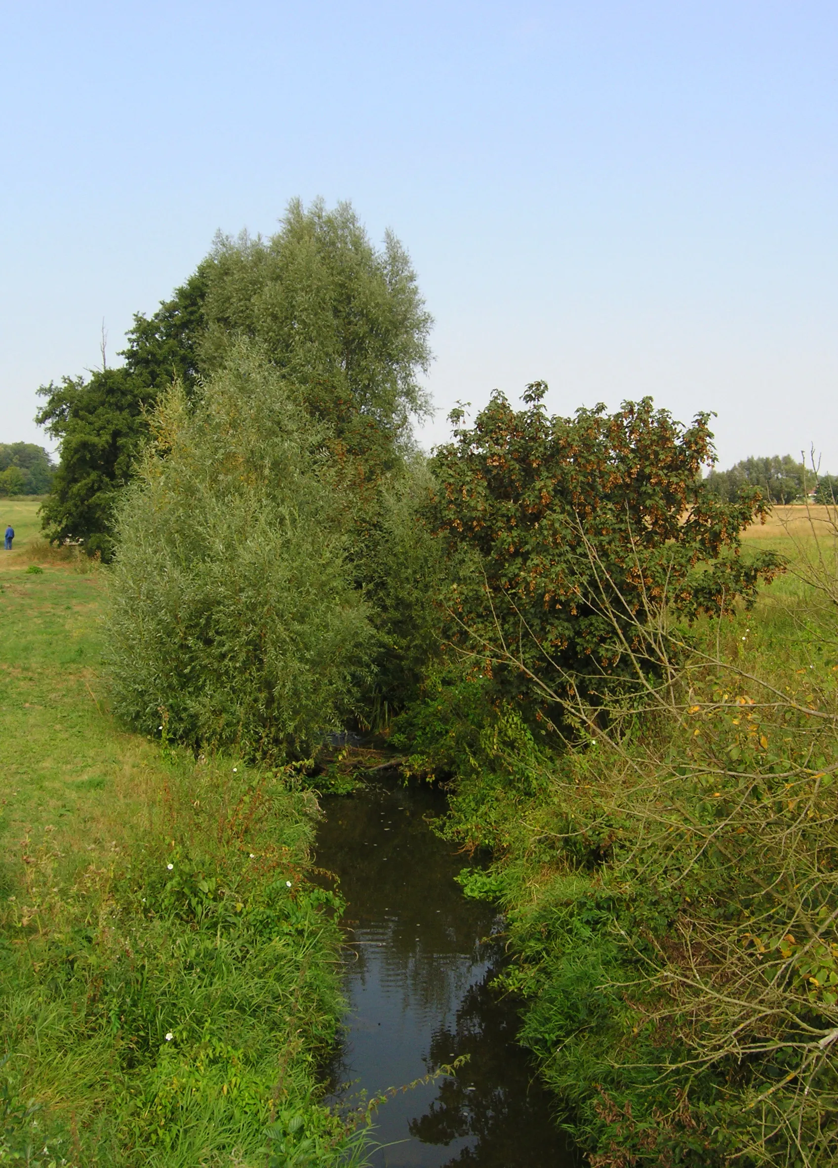 Photo showing: Bystřice River in Boharyně, Czech Republic