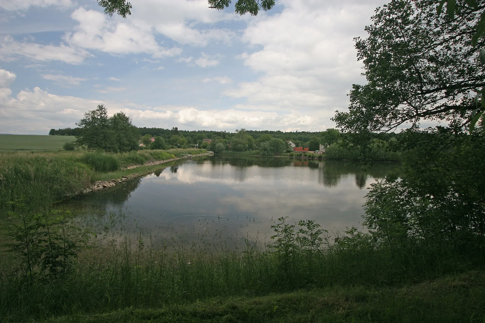 Photo showing: Horní Dohalice rybník Vyhnálov
Camera location 50° 17′ 00.1″ N, 15° 42′ 14.73″ E View this and other nearby images on: OpenStreetMap 50.283362;   15.704092

This file was created as a part of the photographic program of Wikimedia Czech Republic. Project: Foto českých obcí The program supports Wikimedia Commons photographers in the Czech Republic.