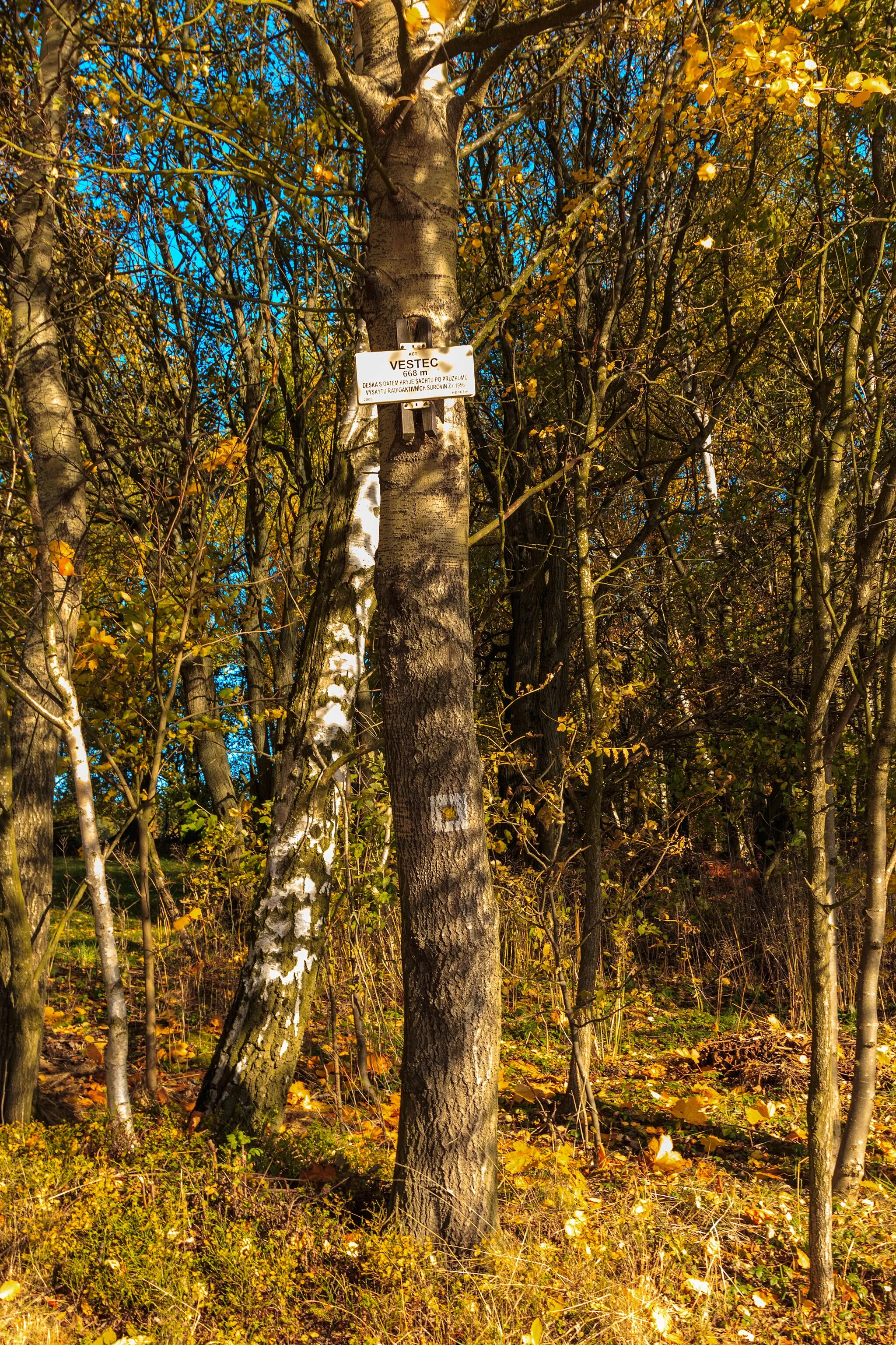 Photo showing: This file was created as a part of the photographic program of Wikimedia Czech Republic. Project: Foto českých obcí The program supports Wikimedia Commons photographers in the Czech Republic.
Horní Vestec u vyhlídky