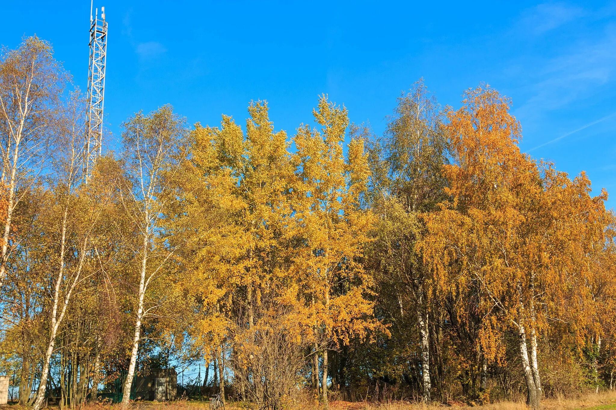 Photo showing: This file was created as a part of the photographic program of Wikimedia Czech Republic. Project: Foto českých obcí The program supports Wikimedia Commons photographers in the Czech Republic.
Horní Vestec telekomunikační věž