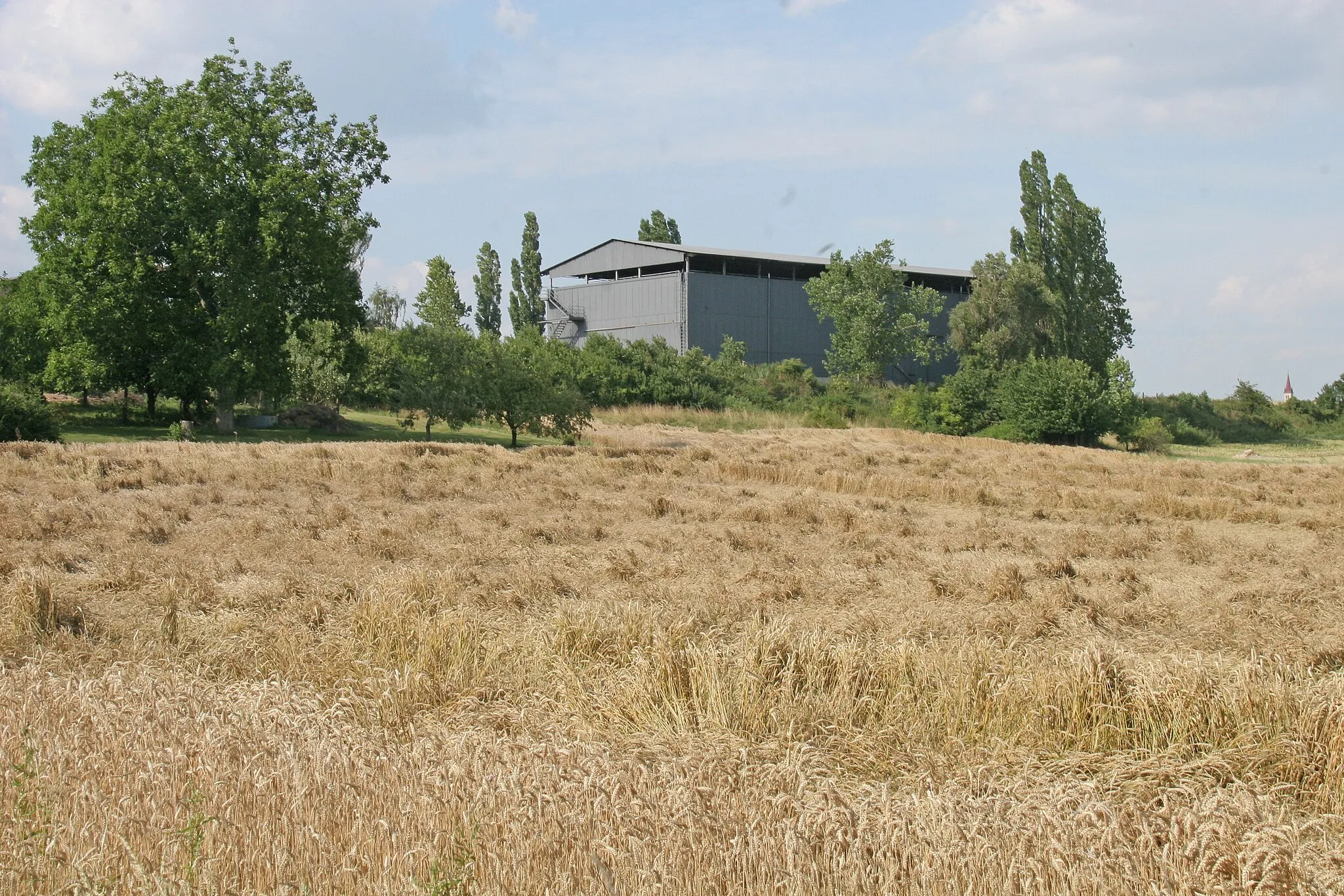 Photo showing: Rtyně farma
Camera location 50° 21′ 31″ N, 15° 52′ 26.4″ E View this and other nearby images on: OpenStreetMap 50.358611;   15.874000

This file was created as a part of the photographic program of Wikimedia Czech Republic. Project: Foto českých obcí The program supports Wikimedia Commons photographers in the Czech Republic.