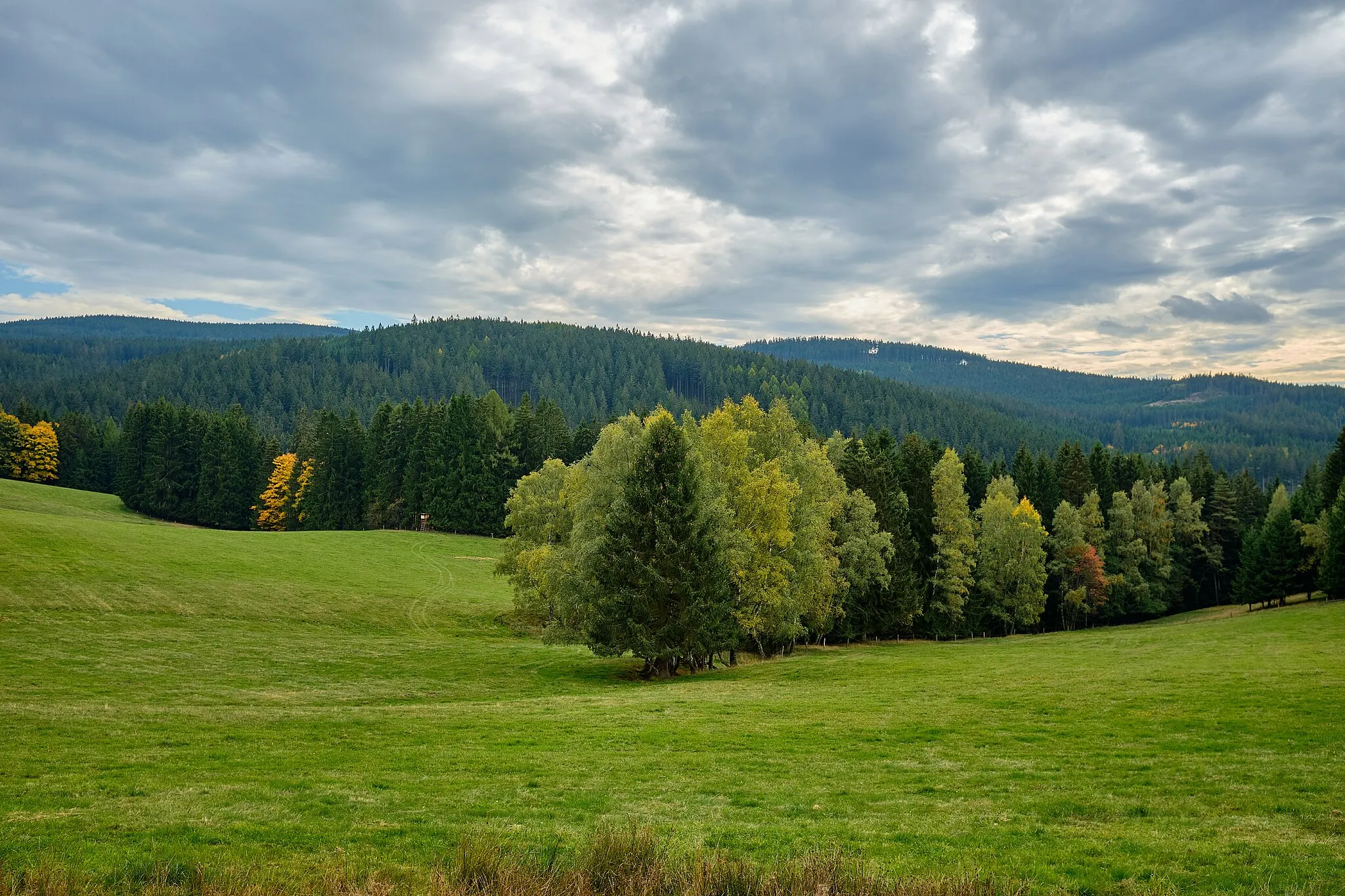 Photo showing: Smrkovec, zaniklá obec ve Slavkovském lese, pohled z vrchu Kozák směrem na jih, okres Sokolov