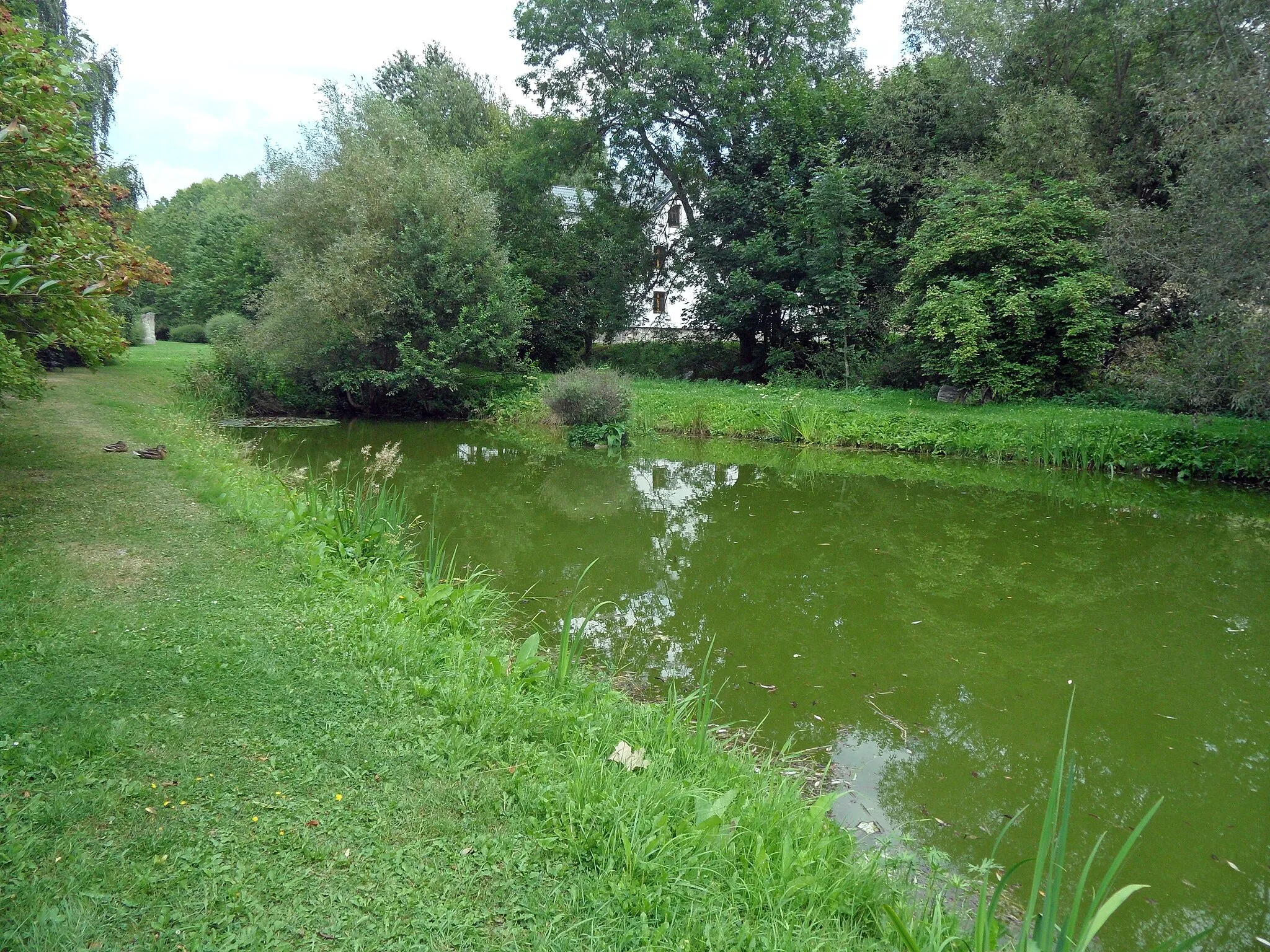 Photo showing: Šléglov: Small Pond. Šumperk District, the Czech Republic