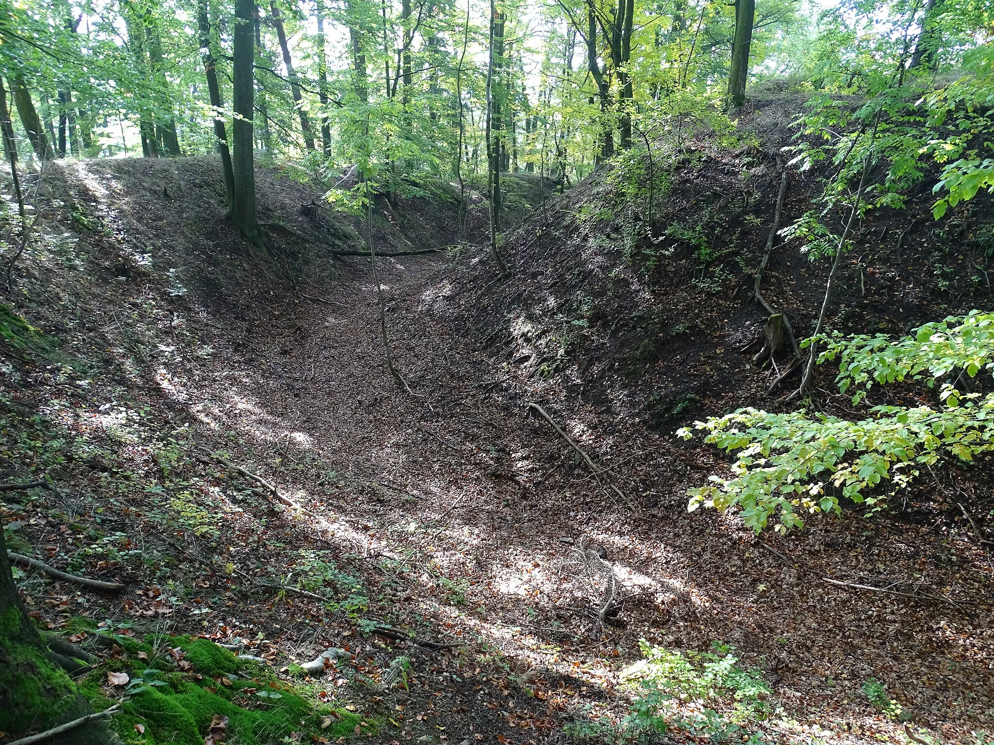 Photo showing: zříceniny hradu Líšnice