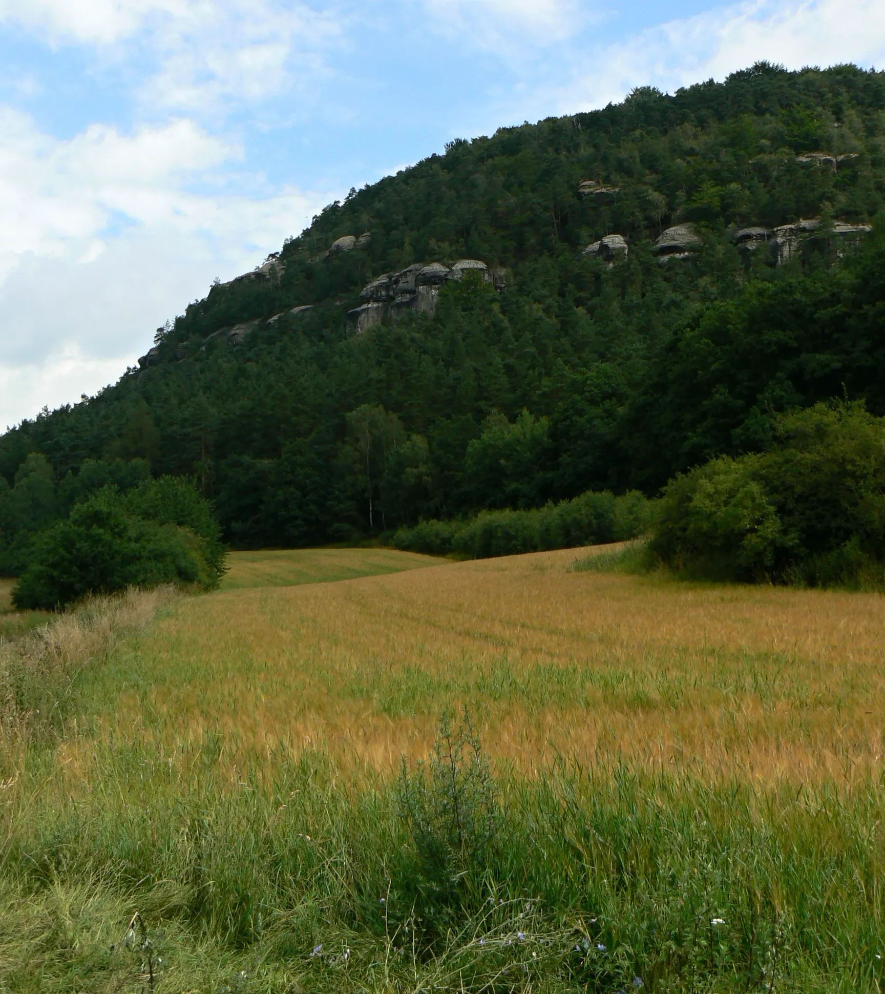 Photo showing: Vlhošť Hill and nature reserve Vlhošť in Česká Lípa District