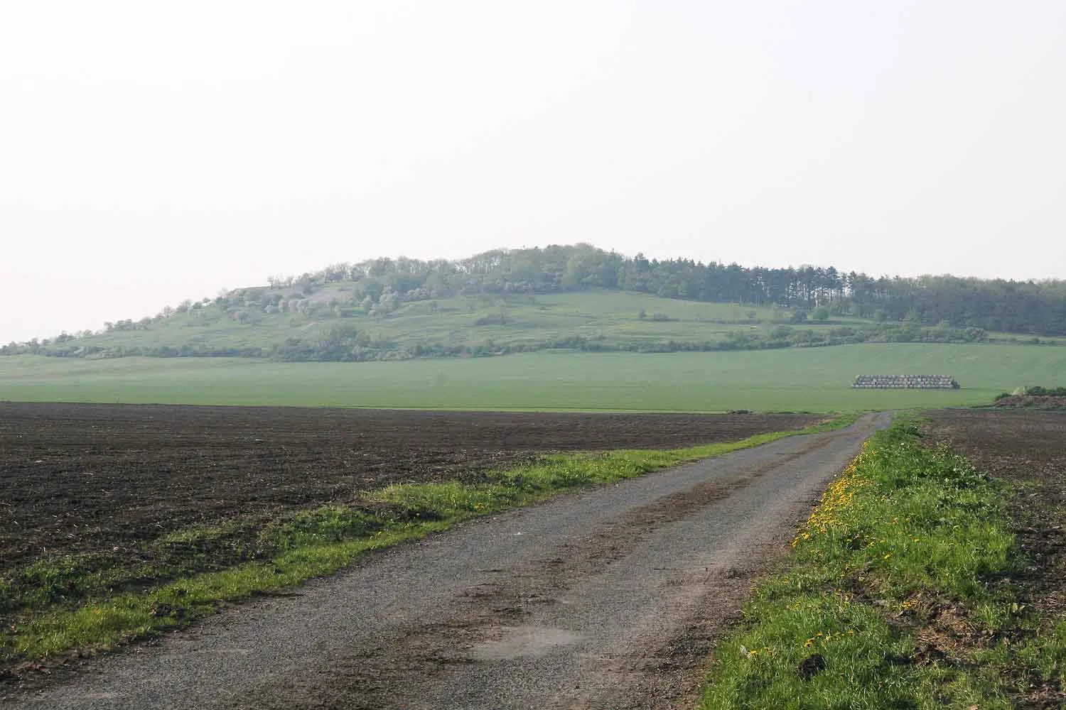 Photo showing: Oškobrh od Opolan