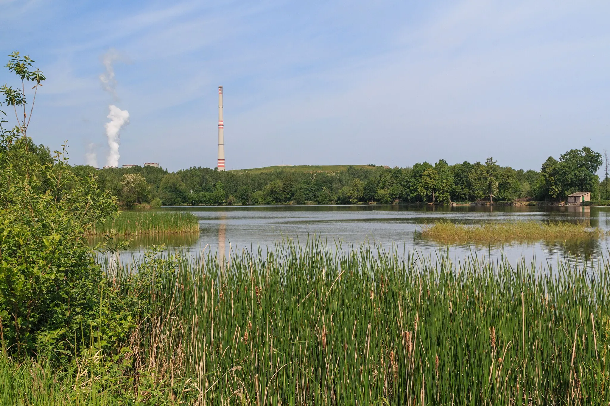 Photo showing: Rybník Pazderna u Zdechovic