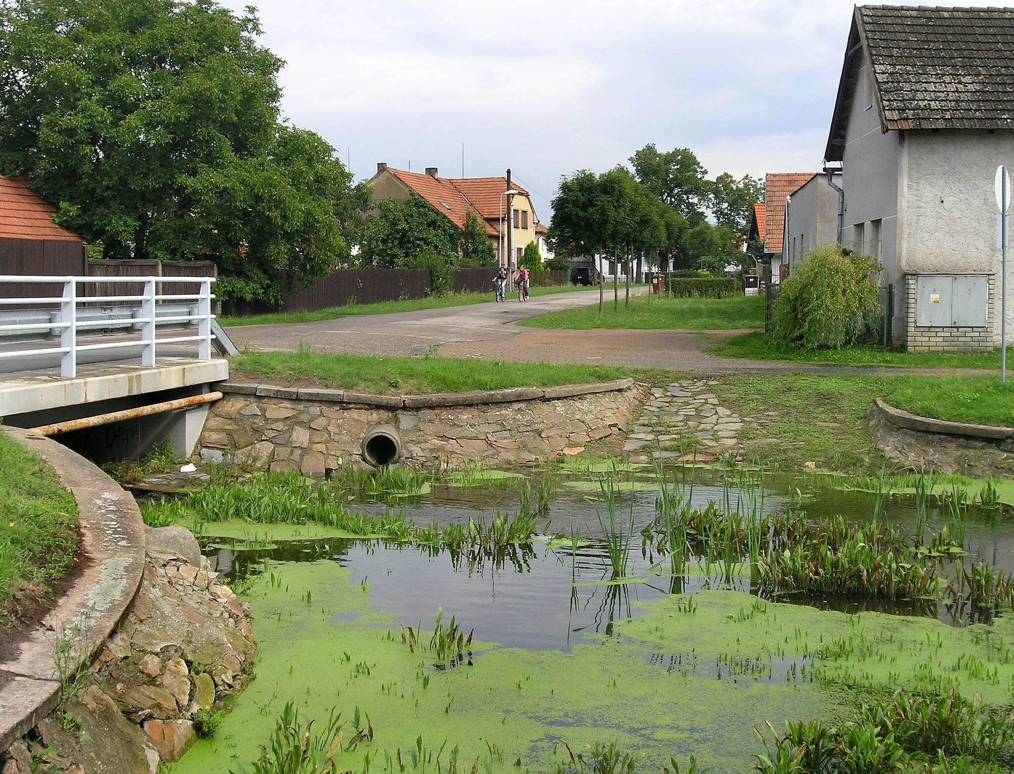 Photo showing: Small pond in Horka I village, Czech Republic