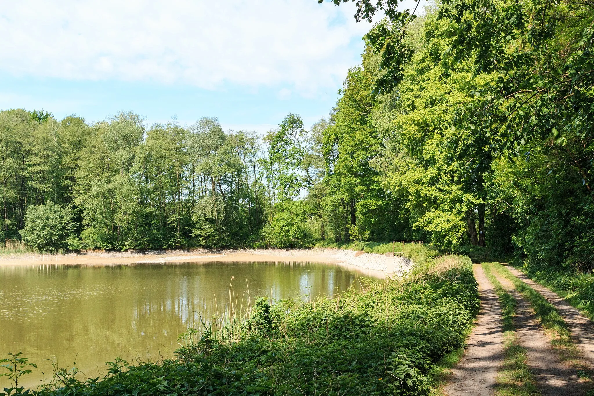 Photo showing: Crkáňský rybník u Kokešova