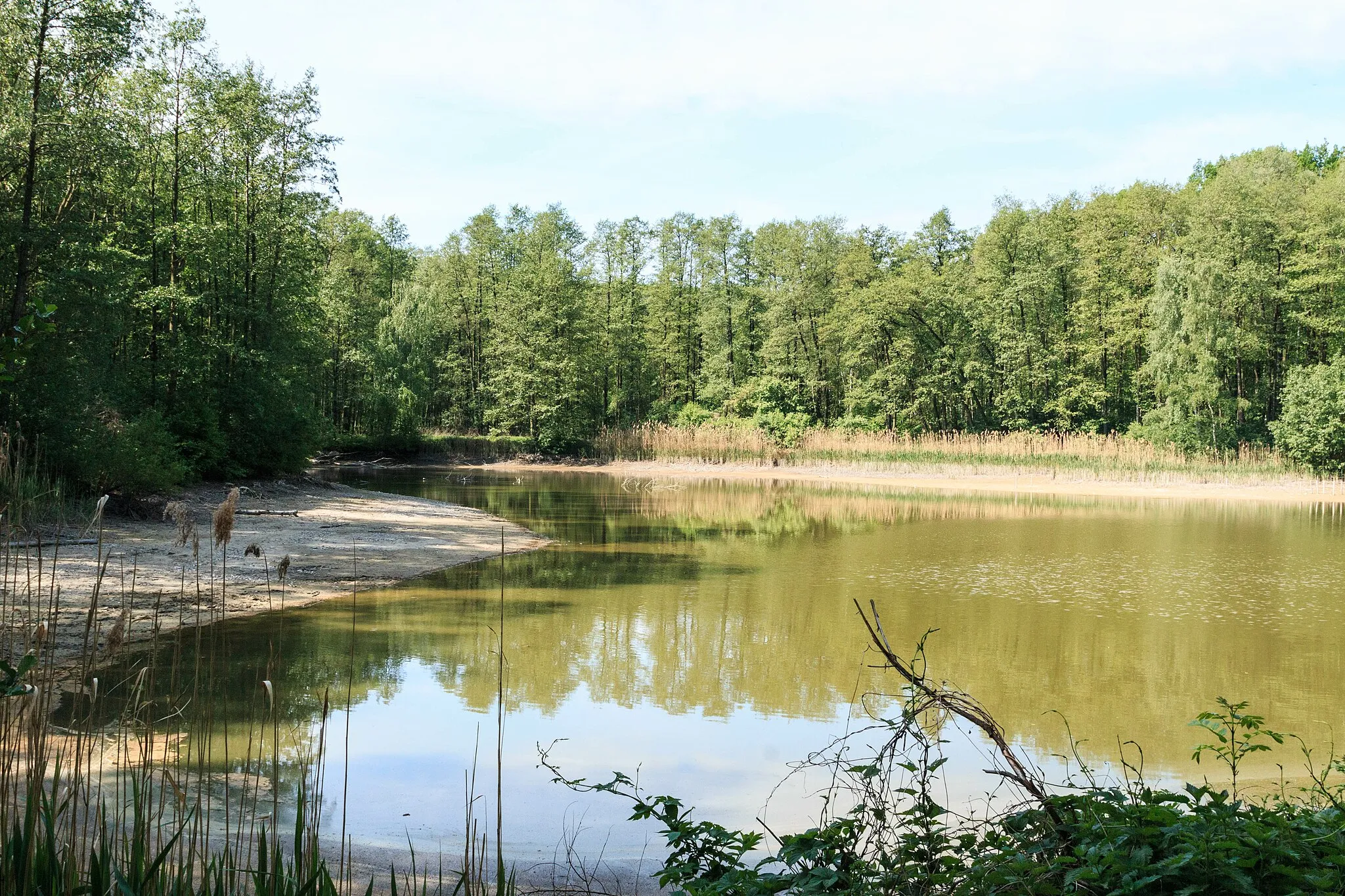 Photo showing: Crkáňský rybník u Kokešova