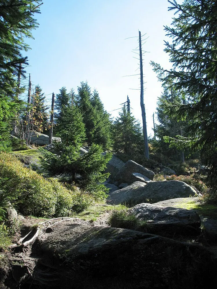 Photo showing: Cesta k vrcholu vede po balvanech