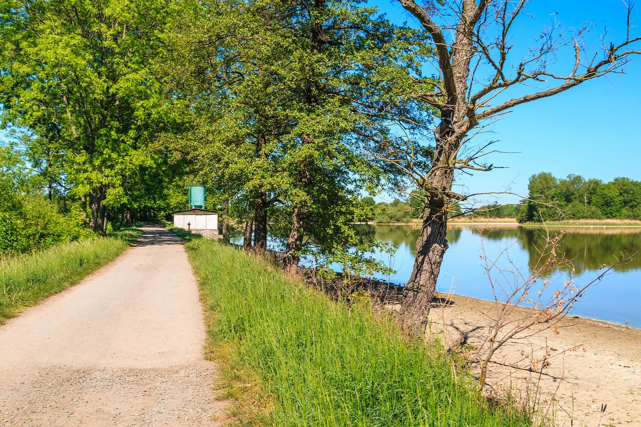 Photo showing: Pohled na Újezdský rybník