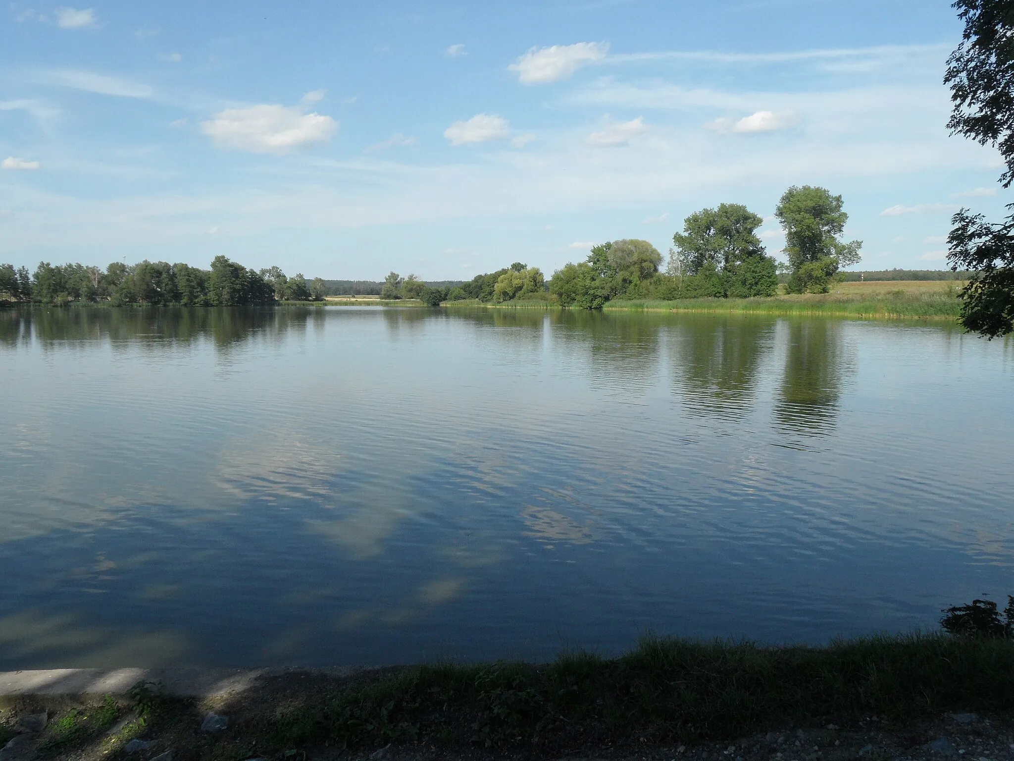 Photo showing: Újezdský Pond (village Újezd u Sezemic), View from the Dam of the Pond. Pardubice District, the Czech Republic.