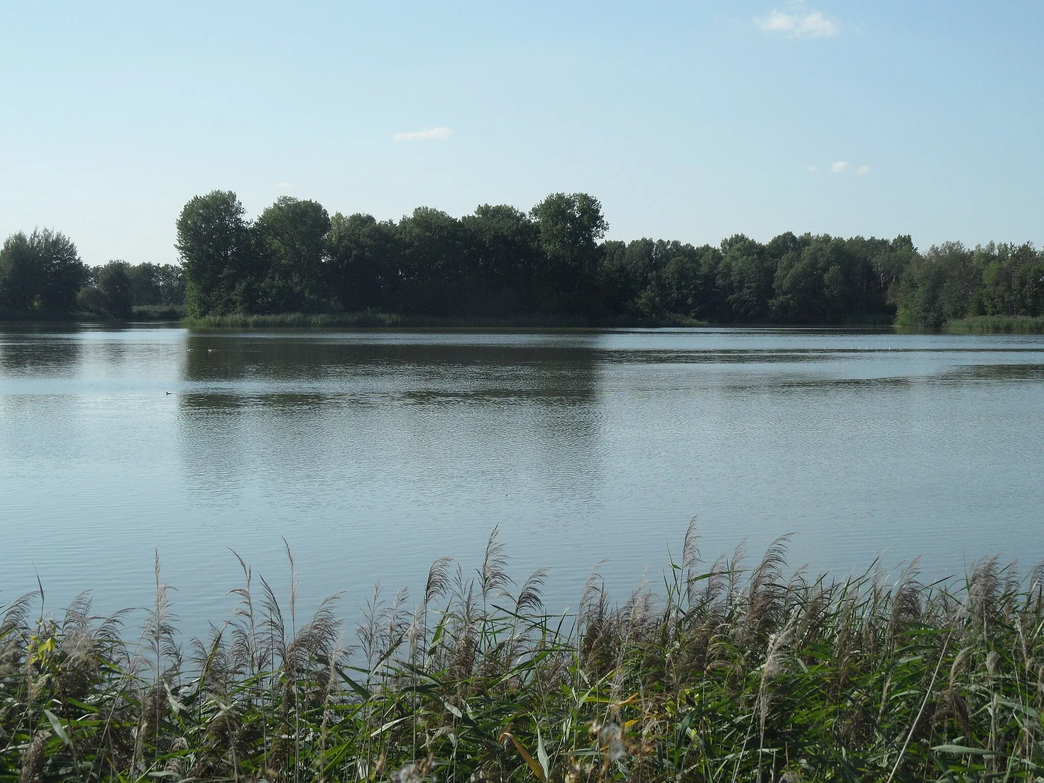 Photo showing: Újezdský Pond (village Újezd u Sezemic), Overview from East Bank. Pardubice District, the Czech Republic.