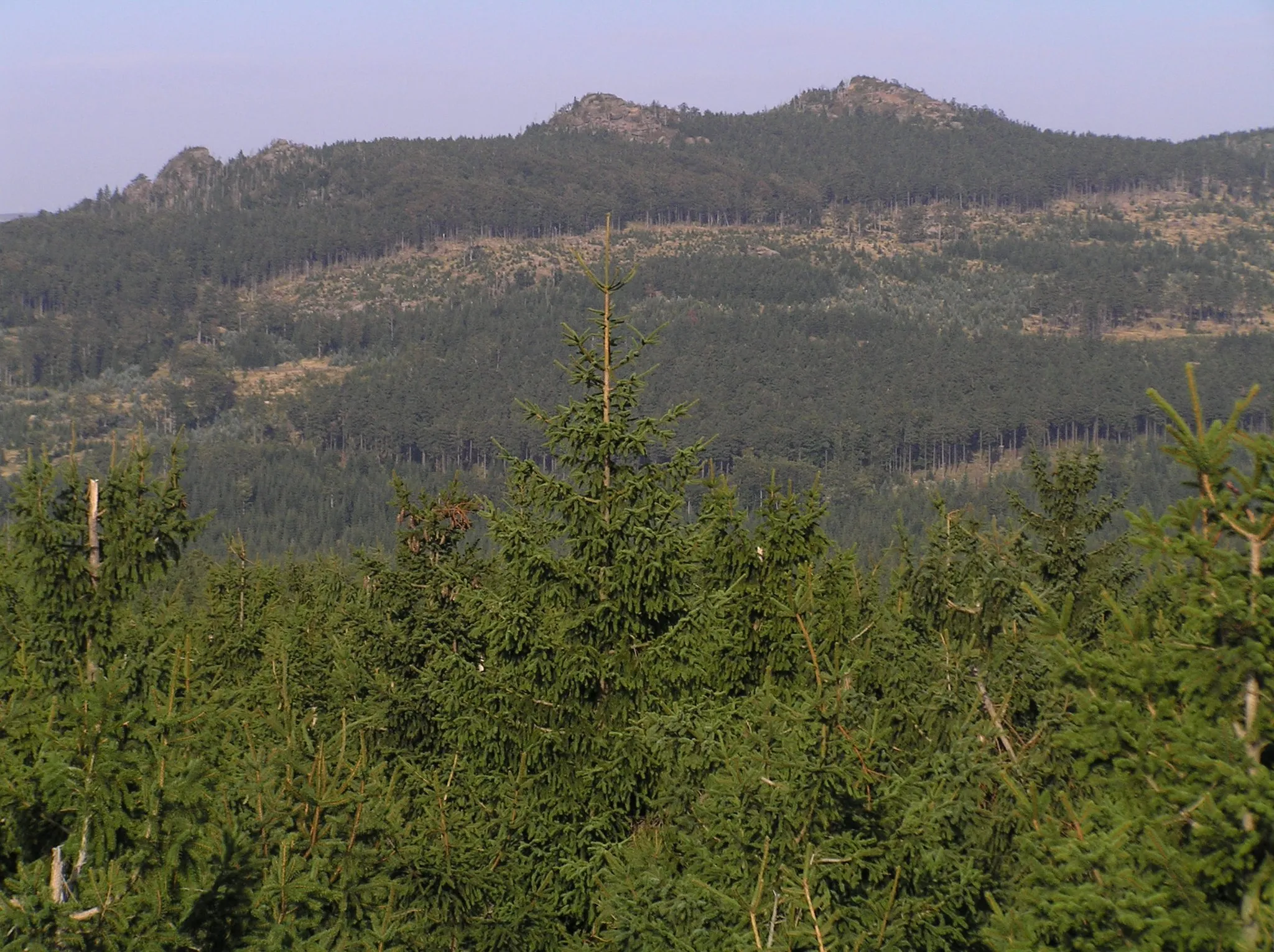 Photo showing: Ptačí kupy (1013 m) z Olivetské hory