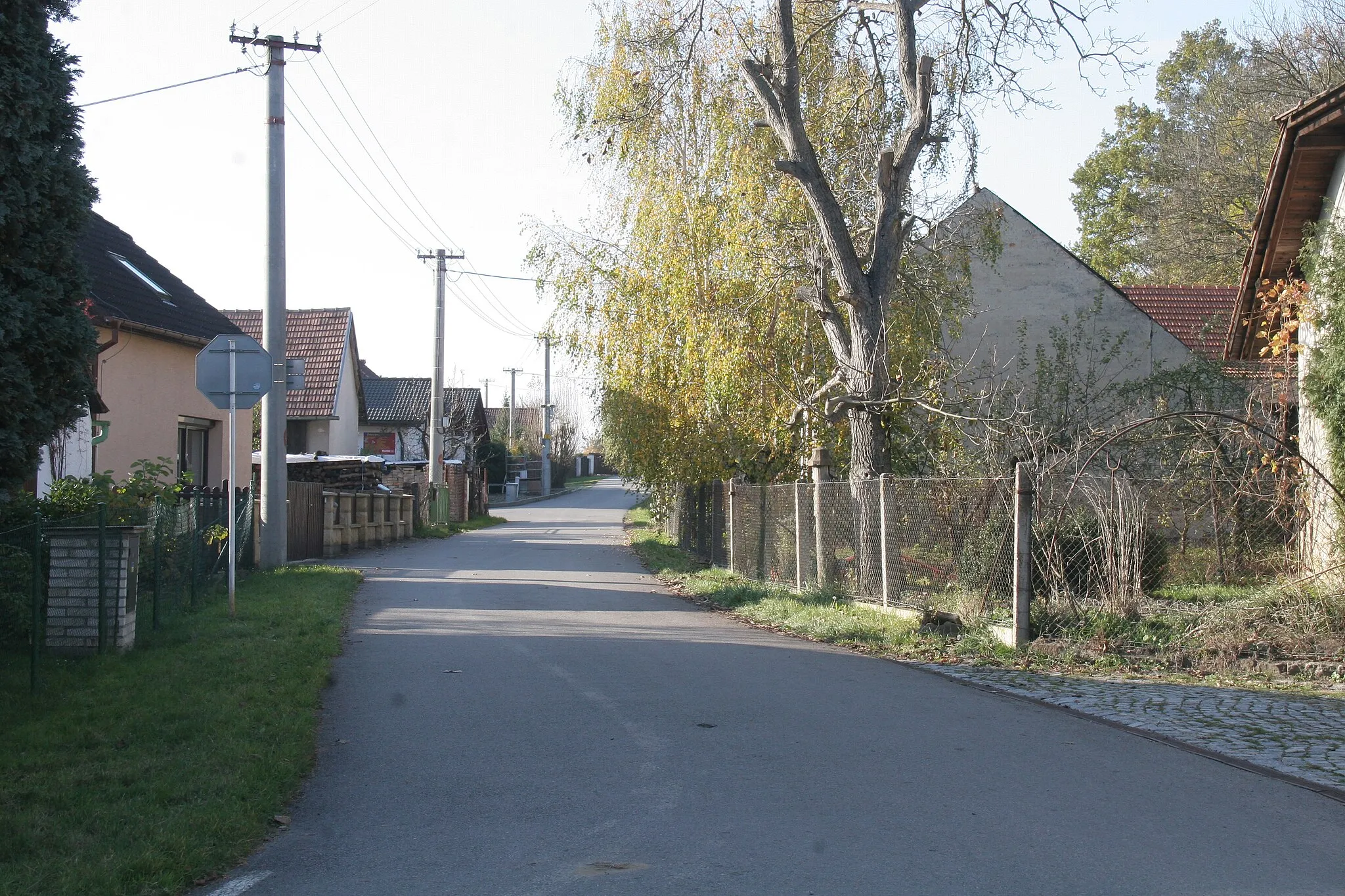 Photo showing: Podlesí čp. 81
Camera location 50° 05′ 03.58″ N, 15° 58′ 56.75″ E View this and other nearby images on: OpenStreetMap 50.084329;   15.982431

This file was created as a part of the photographic program of Wikimedia Czech Republic. Project: Foto českých obcí The program supports Wikimedia Commons photographers in the Czech Republic.