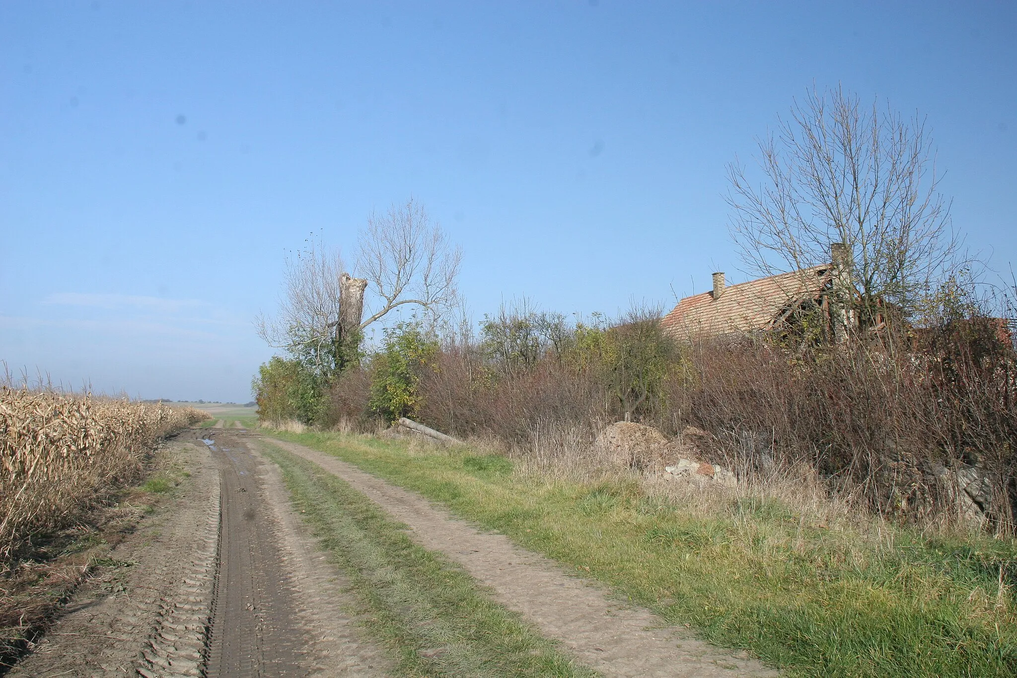 Photo showing: Roveňsko čp. 16
Camera location 50° 03′ 18.79″ N, 15° 57′ 46.41″ E View this and other nearby images on: OpenStreetMap 50.055220;   15.962891

This file was created as a part of the photographic program of Wikimedia Czech Republic. Project: Foto českých obcí The program supports Wikimedia Commons photographers in the Czech Republic.