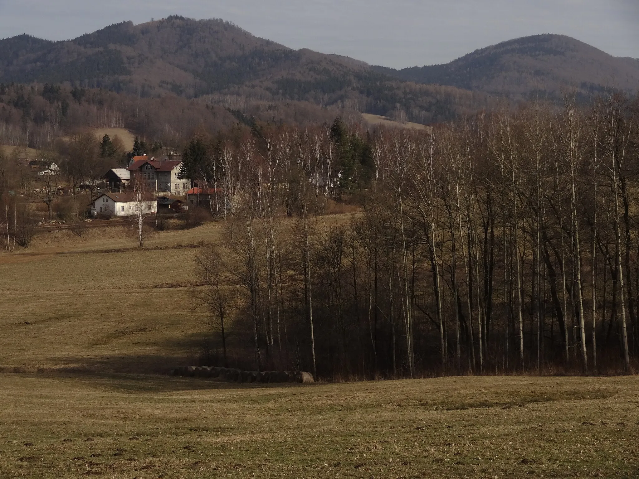 Photo showing: Mníšek, Strmý vrch (698 m), Oldřichovský Špičák (724 m) a Stržový vrch (710 m) od Skřivan