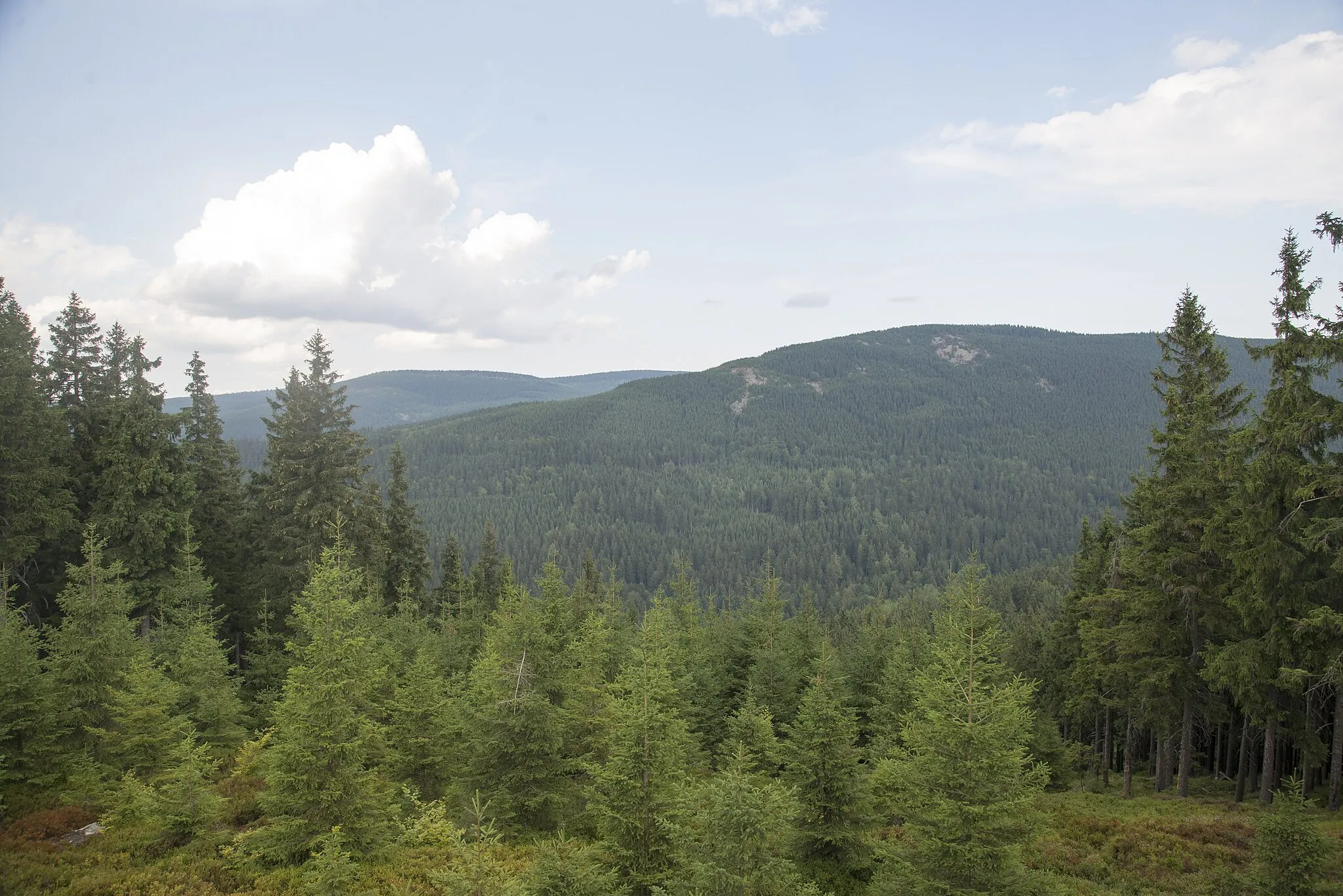 Photo showing: View to Kamenec montain, Studená (Krkonoše) - 989 m, mountain, Rokytnice nad Jizerou, District Semily, Liberec region, Česko