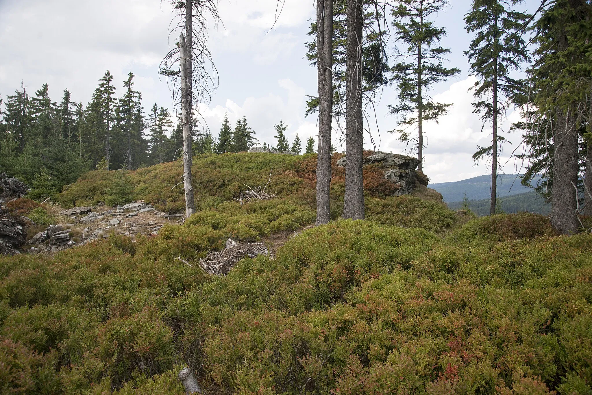 Photo showing: Studená (Krkonoše) - 989 m, mountain, Rokytnice nad Jizerou, District Semily, Liberec region, Česko