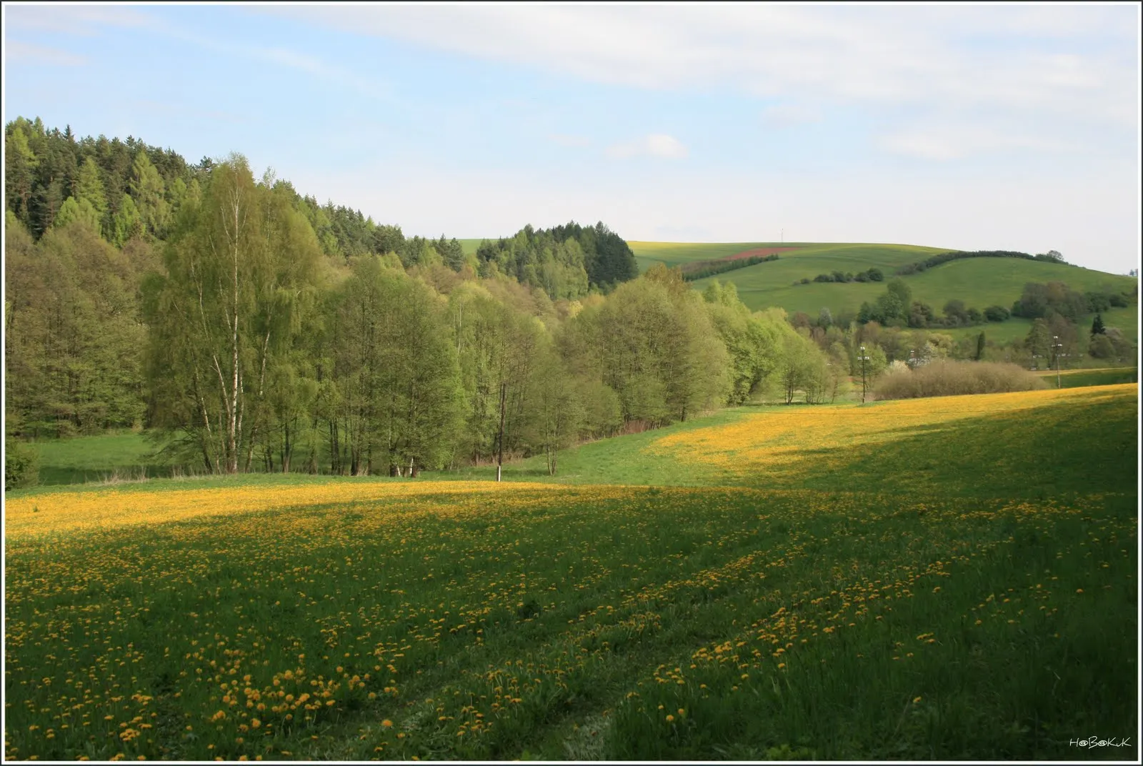 Photo showing: Road to Pecka