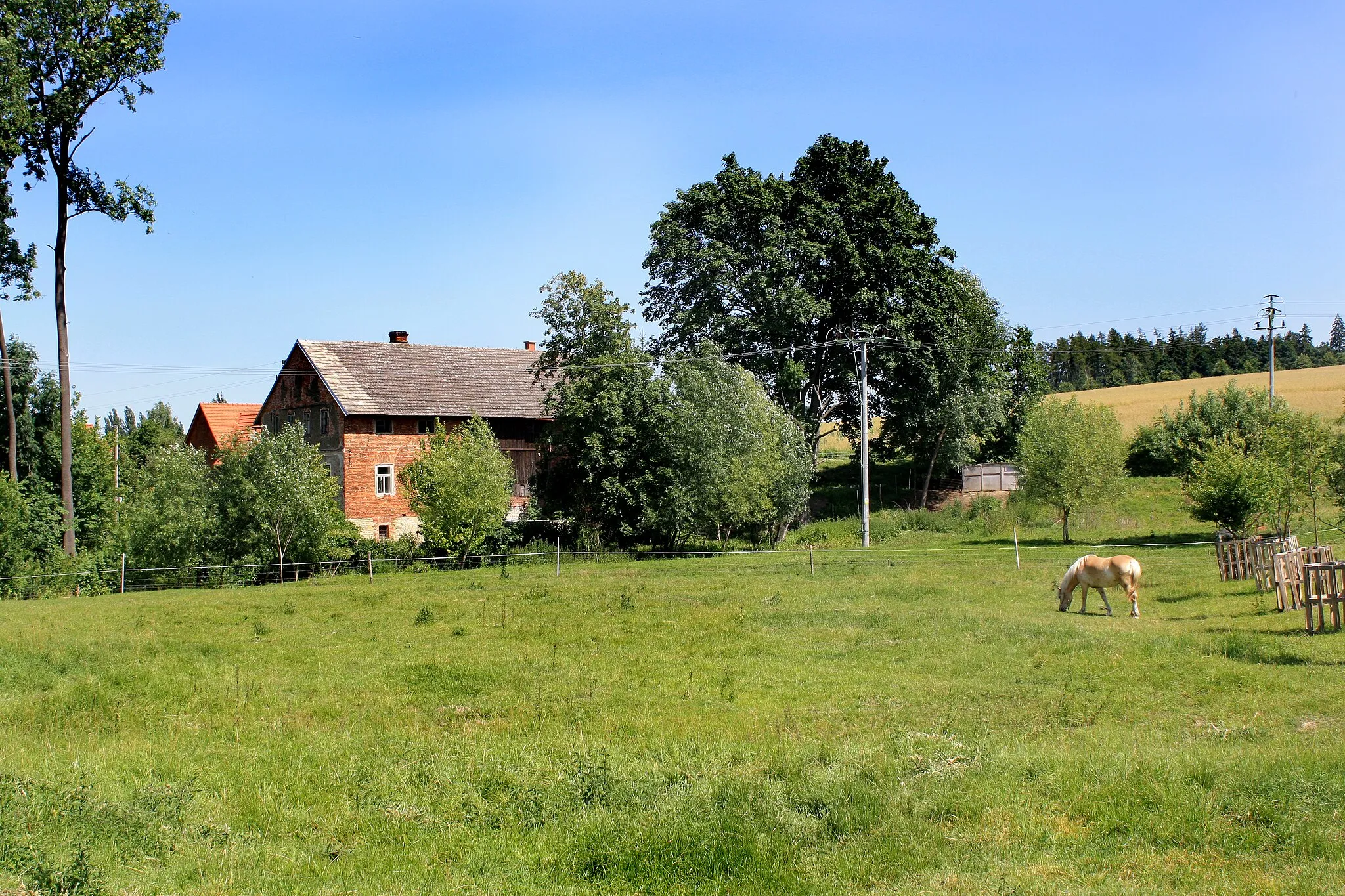 Photo showing: Pastureland in Višňáry, part of Morašice municipality, Czech Republic