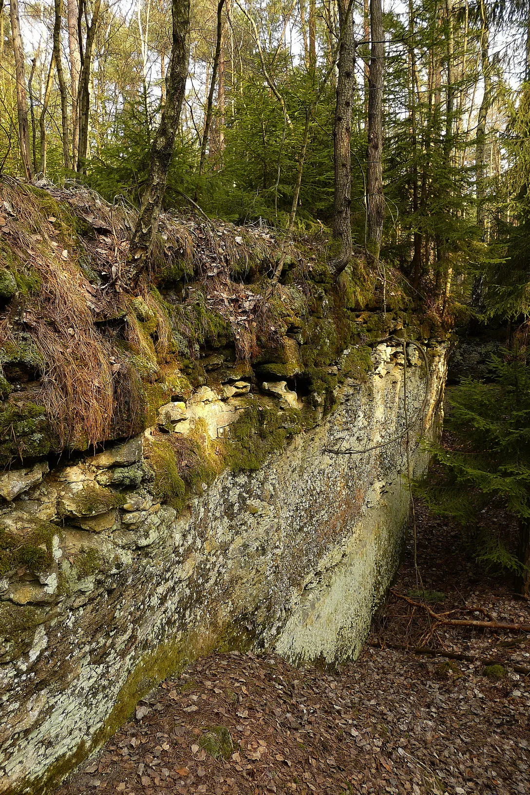 Photo showing: Starý lom na Malém Radechově