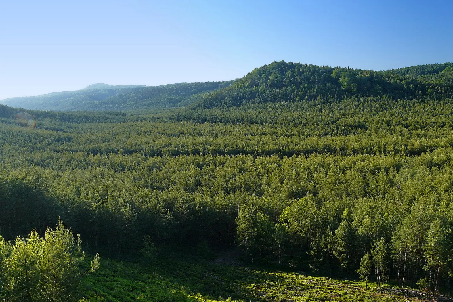 Photo showing: Malý Borný a Hradčanská pahorkatina z Havířského vrchu, vlevo vzadu vrch Dub