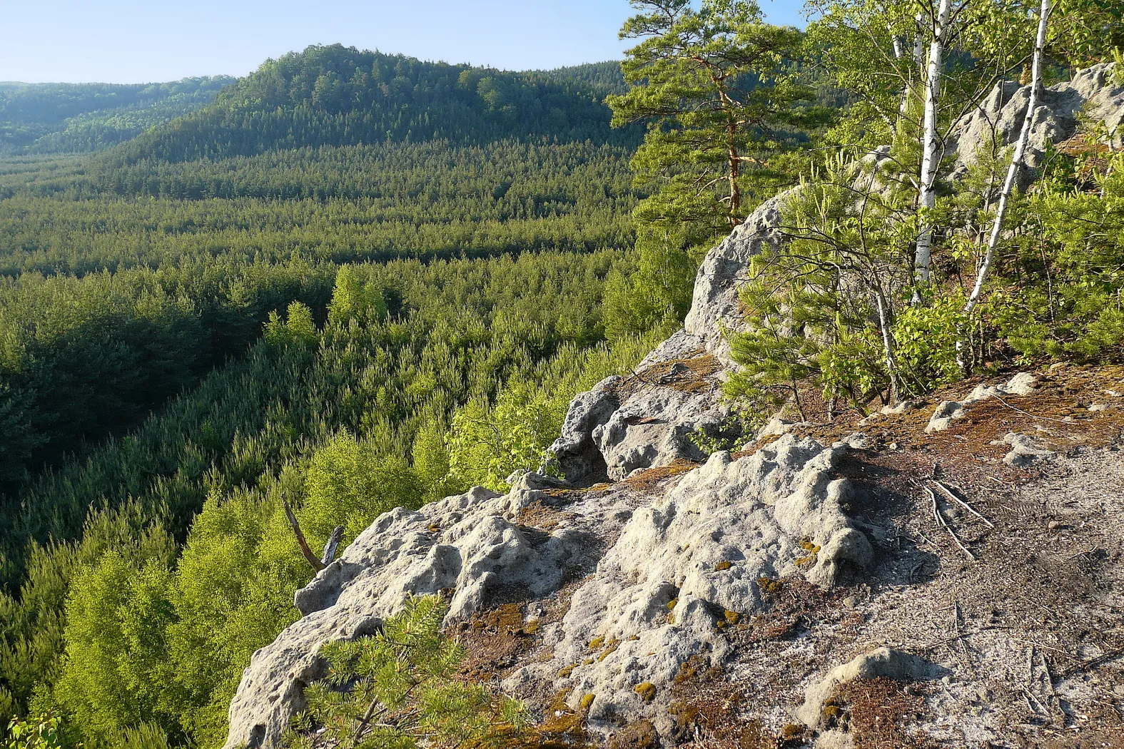 Photo showing: Pískovcové skály na Havířském vrchu, vzadu Malý Borný