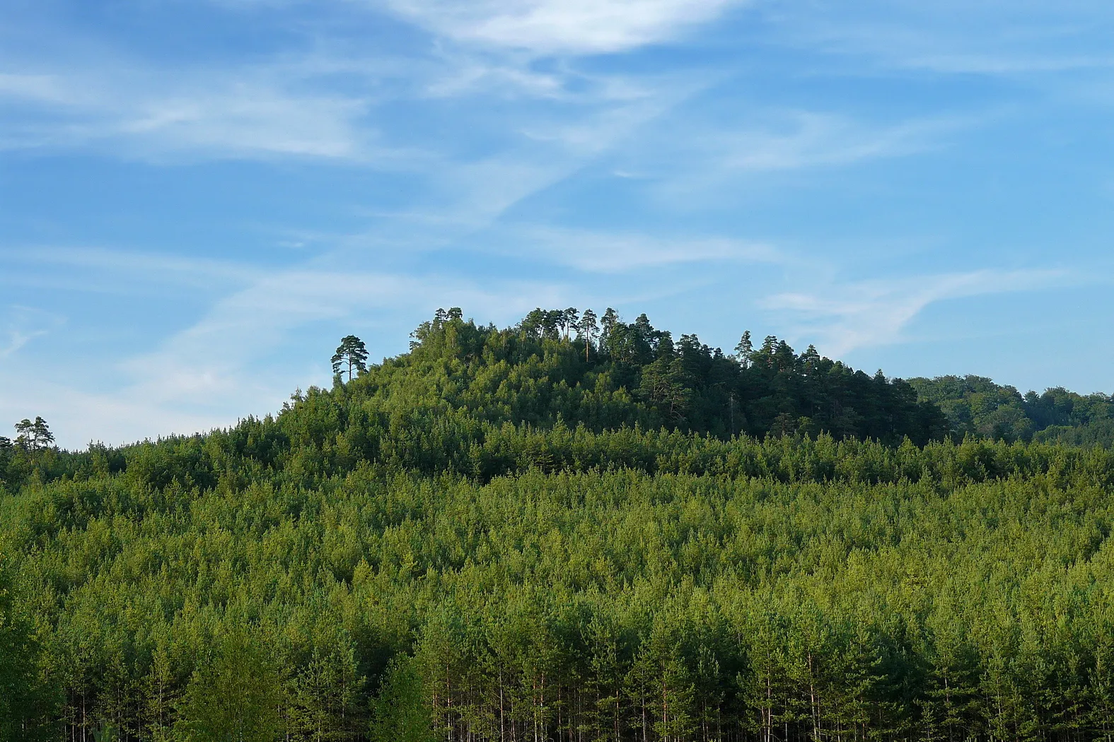 Photo showing: Havířský vrch od jihozápadu