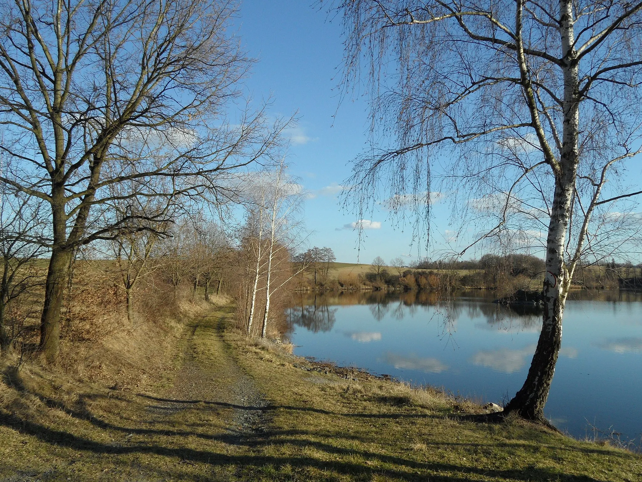 Photo showing: Jezuitský rybník B. Path along East Side of the Pond, Havlíčkův Brod District, the Czech Republic.