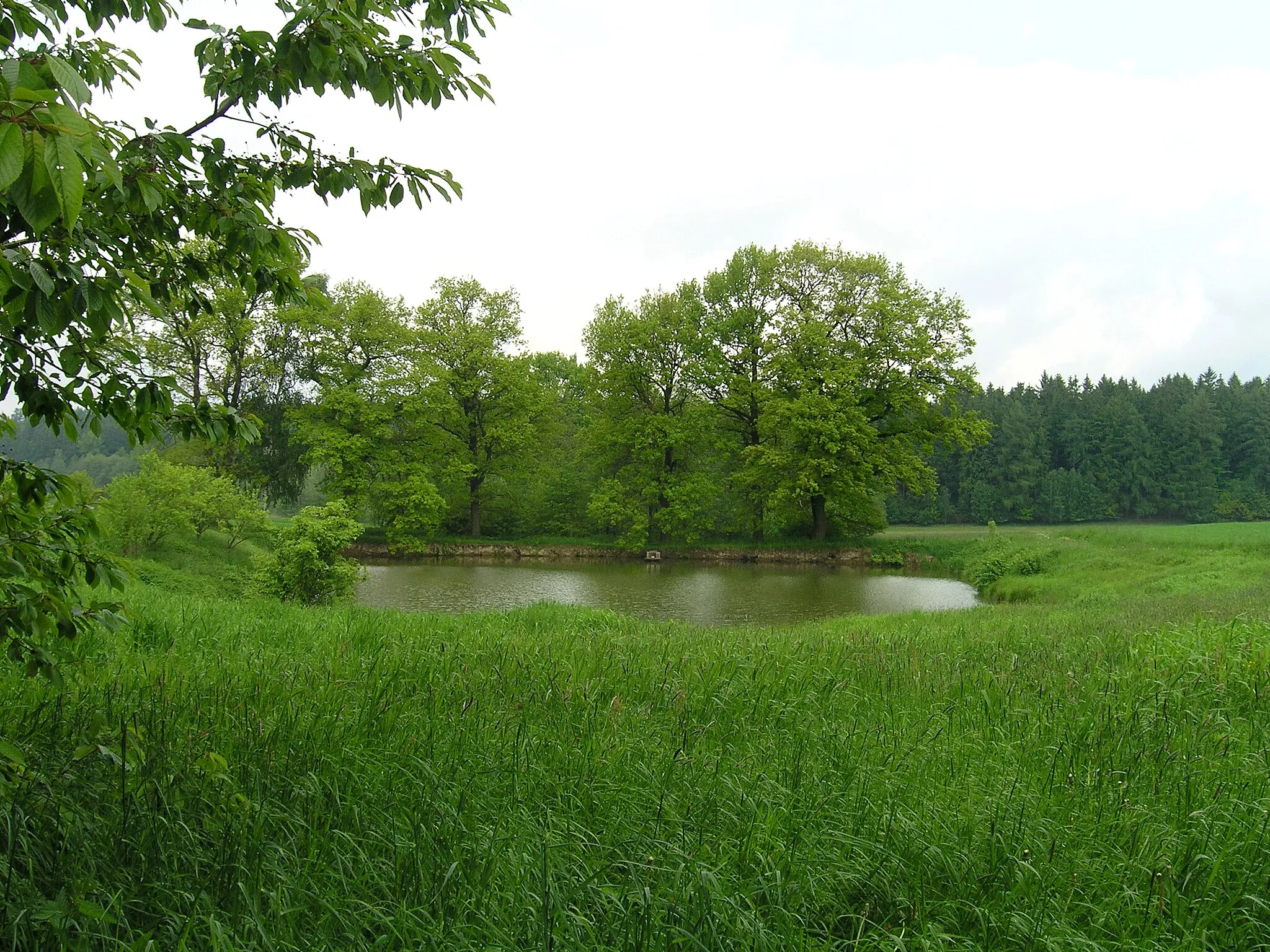 Photo showing: Horní Nejepín pond in Nejepín village, Czech Republic