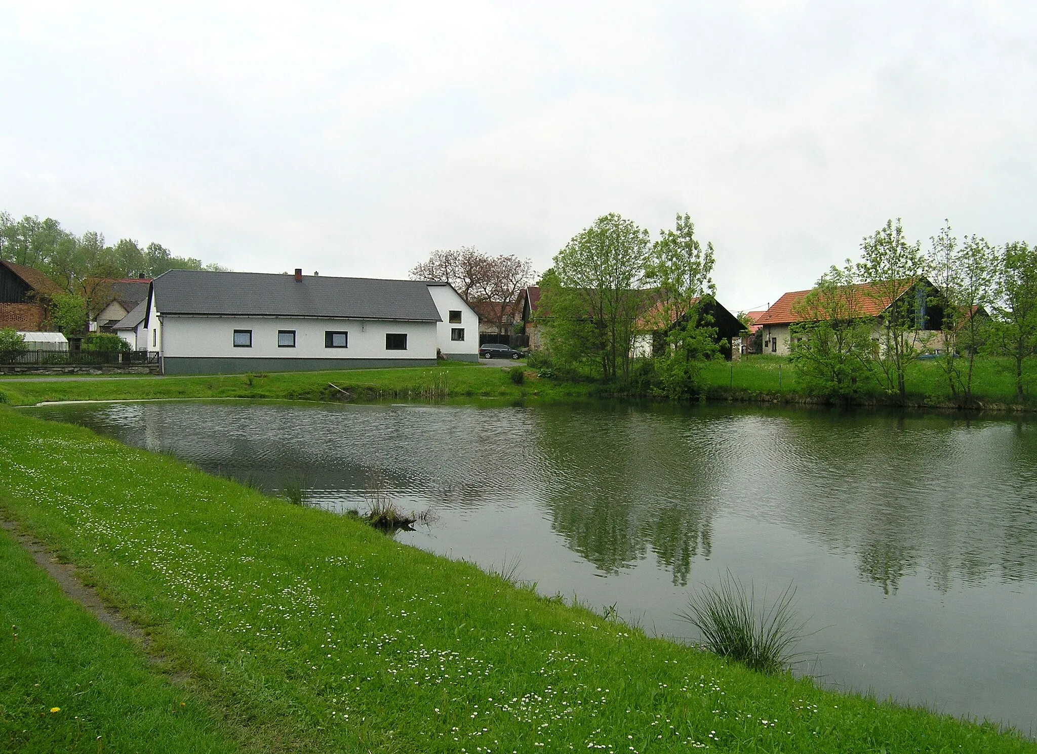 Photo showing: Pivovarský pond in Nejepín village, Czech Republic