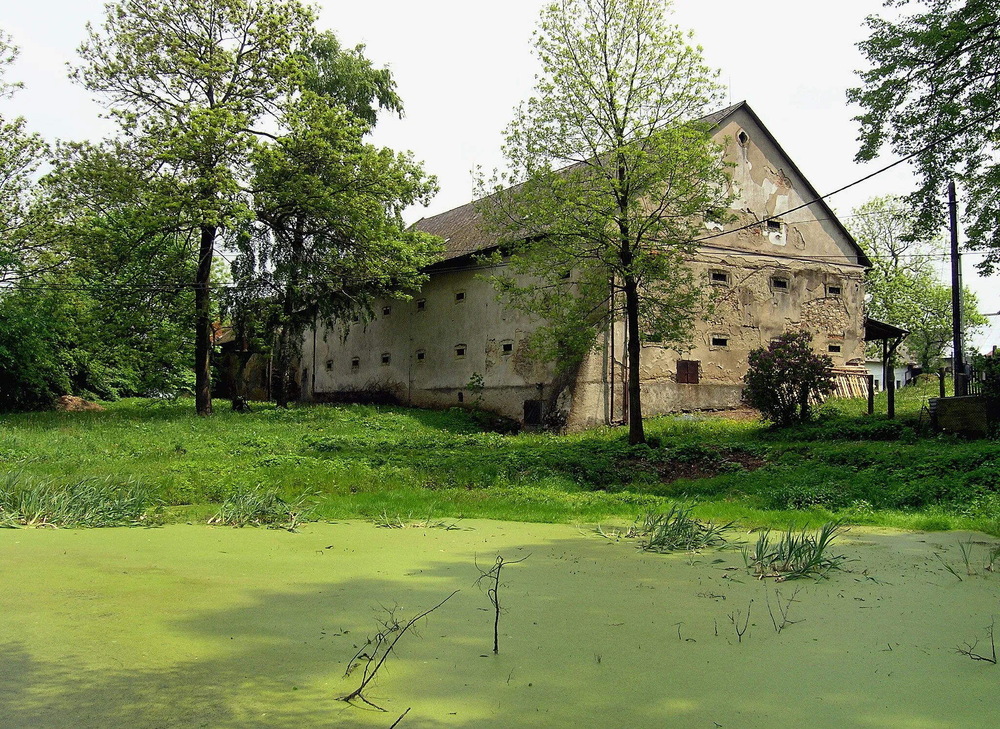 Photo showing: Common pond in Nejepín village, Czech Republic