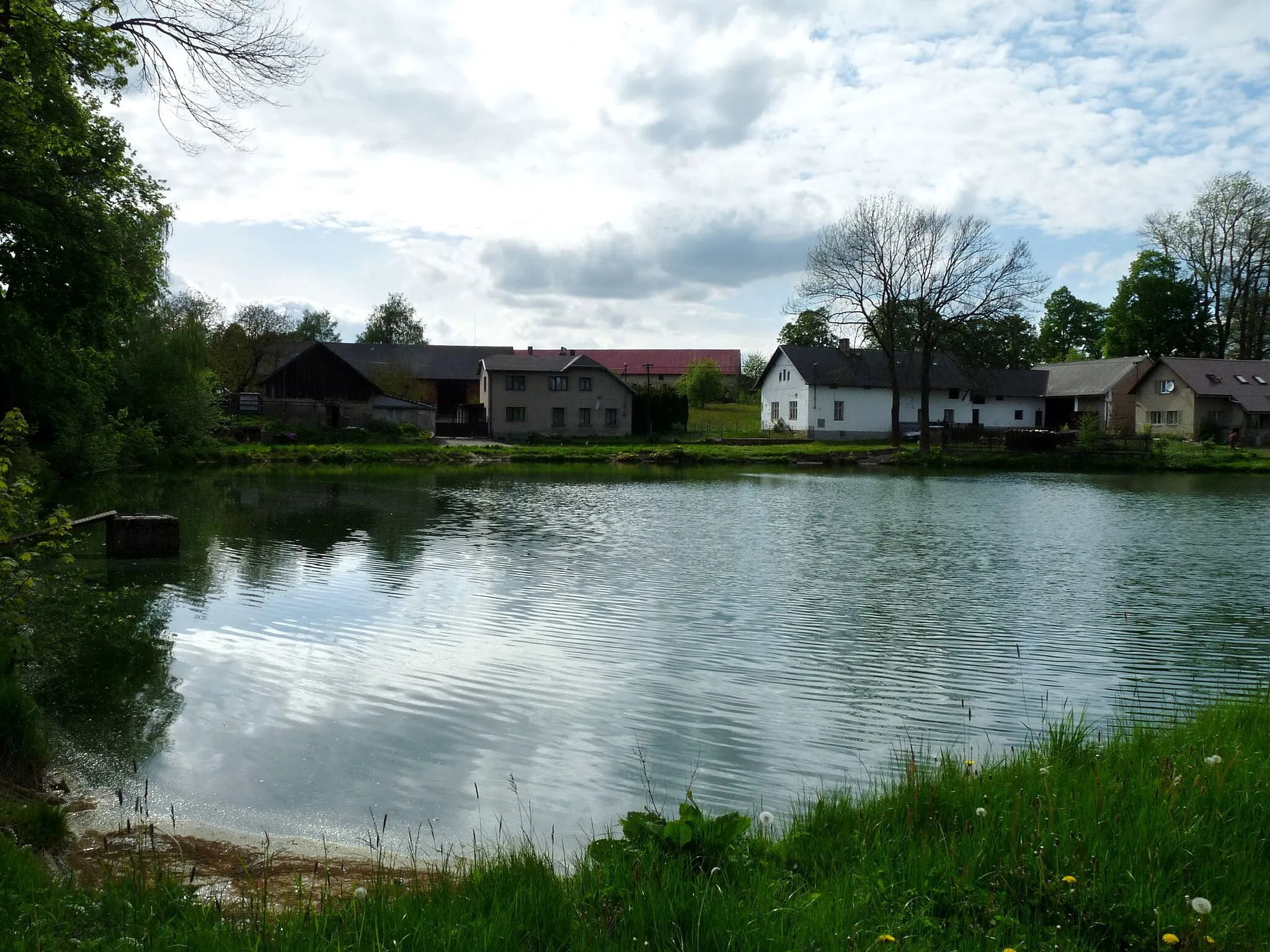 Photo showing: Pond in the village of Počátky, Havlíčkův Brod District, Vysočina Region, Czech Republic.