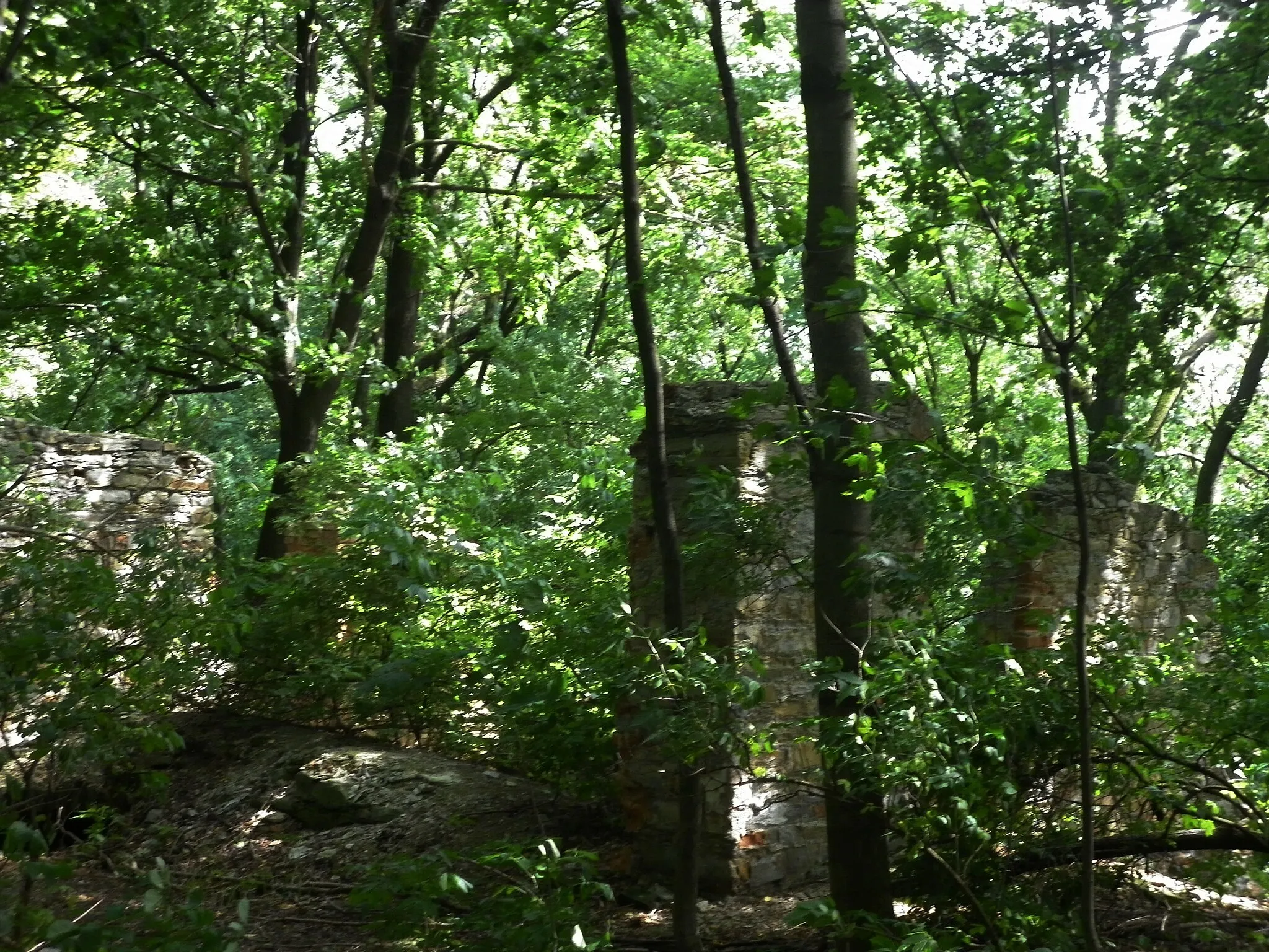 Photo showing: Ruins of an old hunting castle "Neulust" (from 18th century) situated in a forest nearby Uhersko, Pardubice District, Czech Republic. Demolished in 1908.