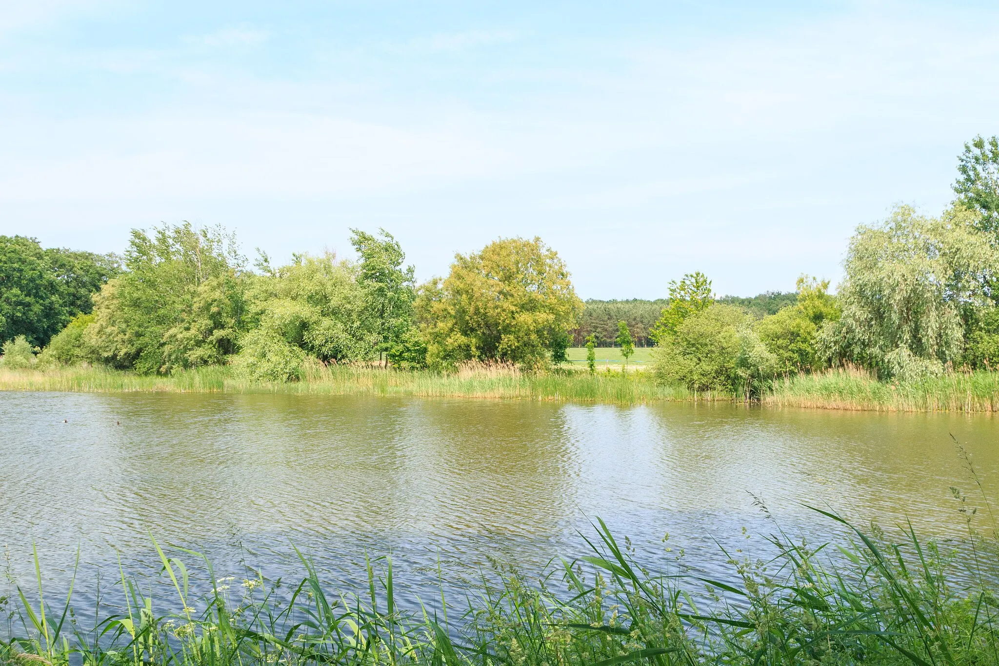 Photo showing: Bílý rybník u Kamenského Dvora