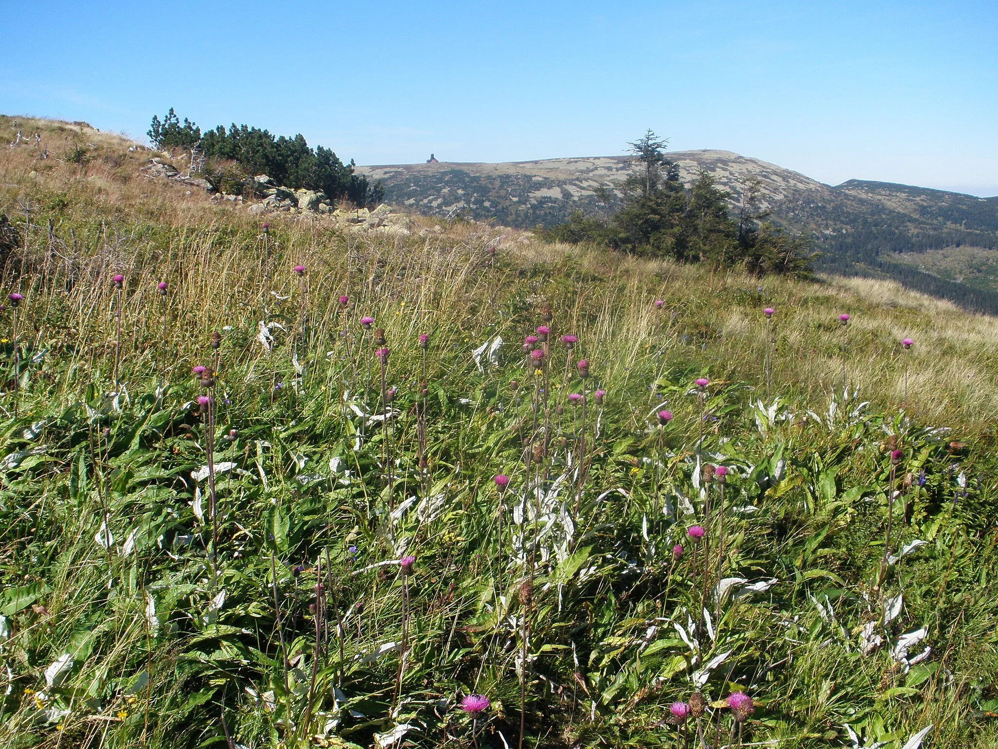 Photo showing: 543 51 Špindlerův Mlýn, Czech Republic