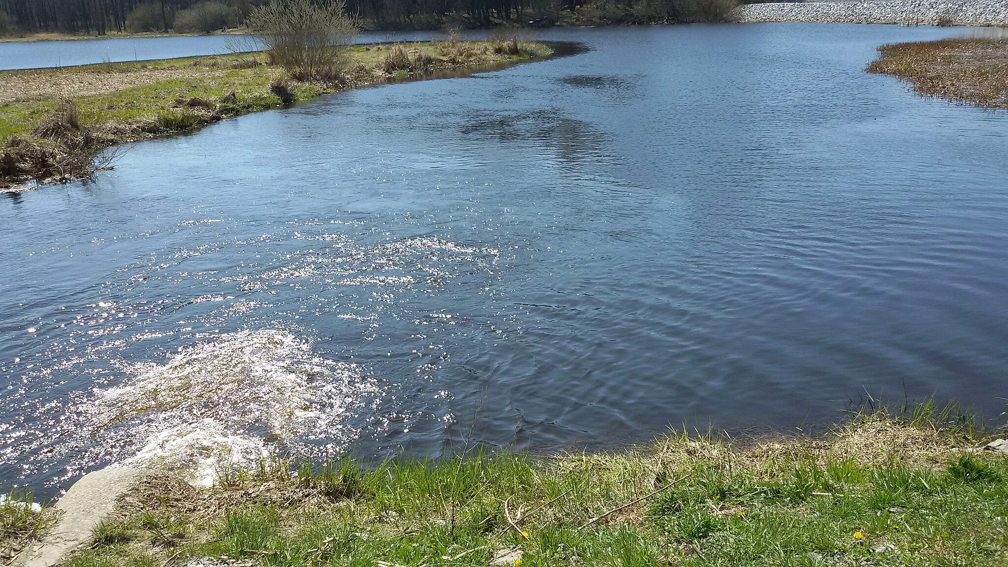 Photo showing: The Olšina stream flows into Lipno near Olšov, Český Krumlov District, South Bohemian Region, Czechia.