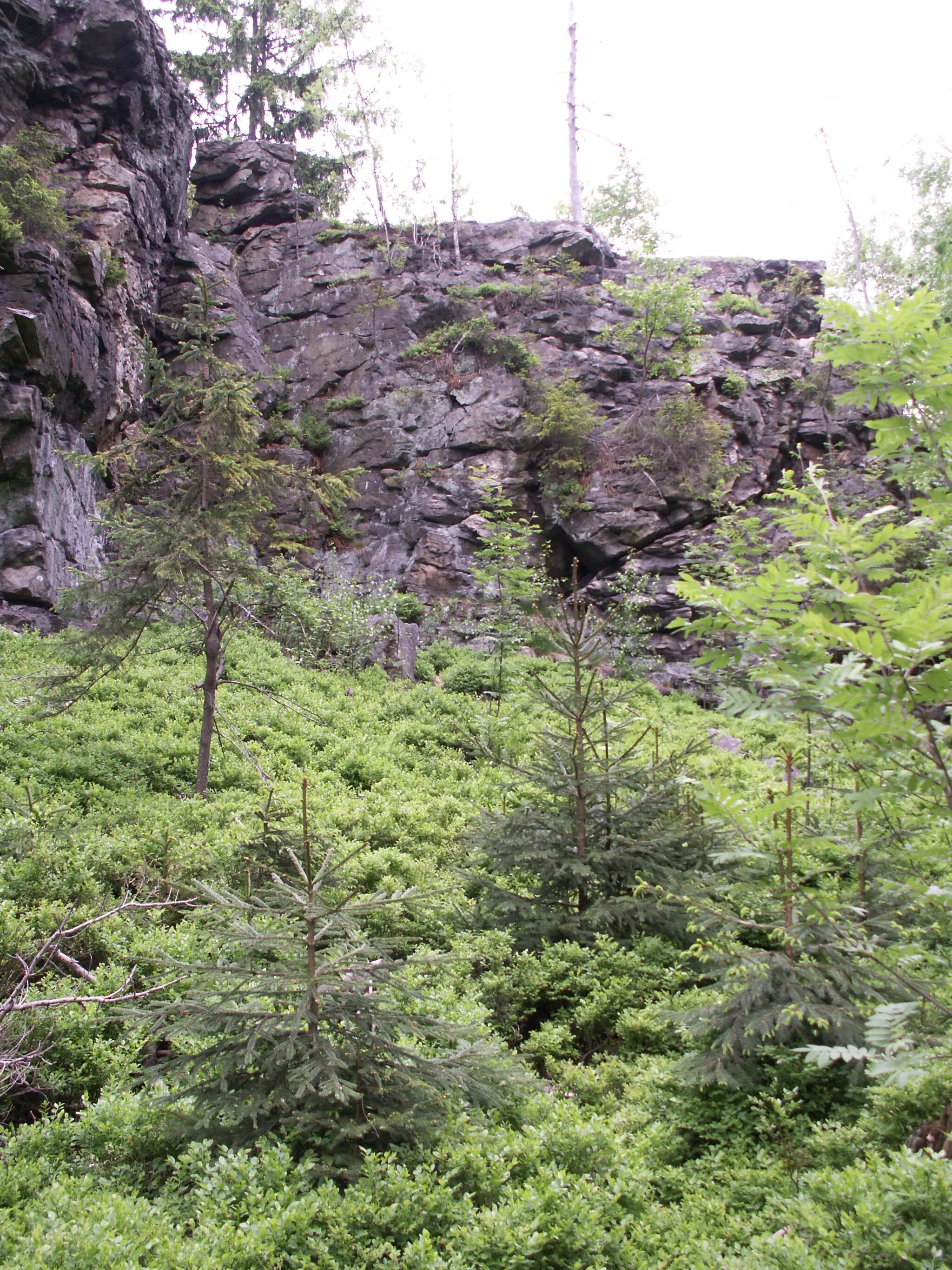 Photo showing: přírodní rezervace Tisůvka, rulová skála, kóta 800 m n.m., okres Žďár nad Sázavou, kraj Vysočina