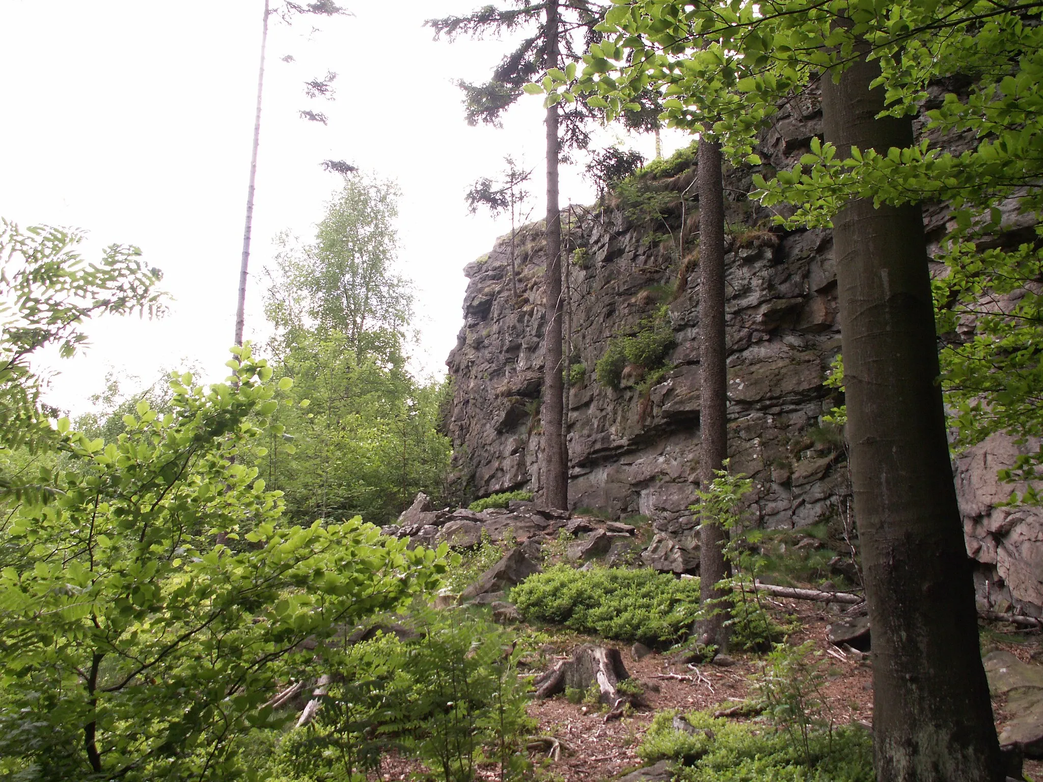 Photo showing: přírodní rezervace Tisůvka, rulová skála, kóta 800 m n.m., okres Žďár nad Sázavou, kraj Vysočina