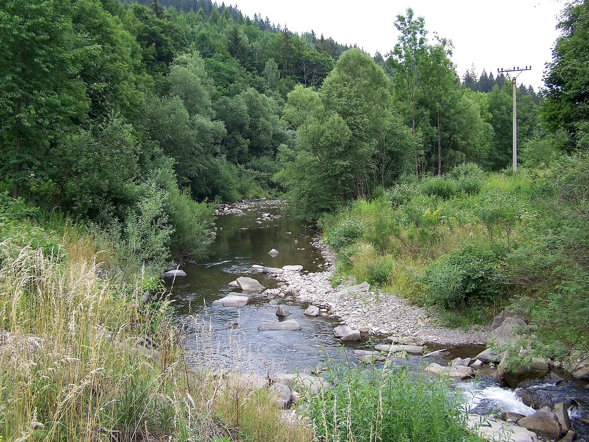Photo showing: Lomná (Łomna) River in Dolní Lomná (Łomna Dolna), Beskids, Czech Republic