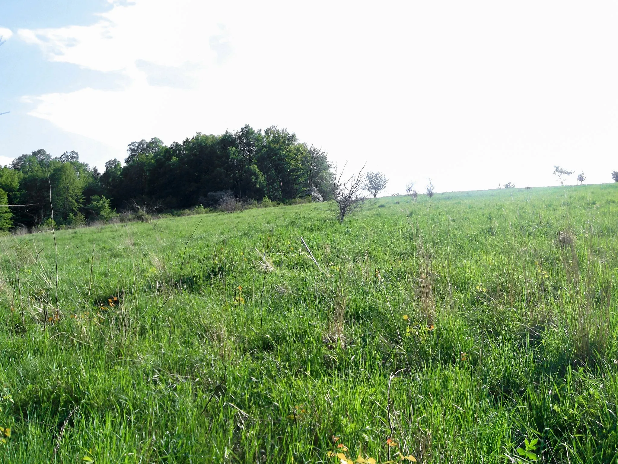 Photo showing: Wzniesienie w południowo-zachodniej Polsce, w Sudetach Zachodnich, na Obniżeniu Żytawsko-Zgorzeleckim we wschodniej części Kotliny Turoszowskiej.Widok na partię szczytową wzniesienia od strony zachodniej z Granicy państwowej sł. graniczny IV/128/13